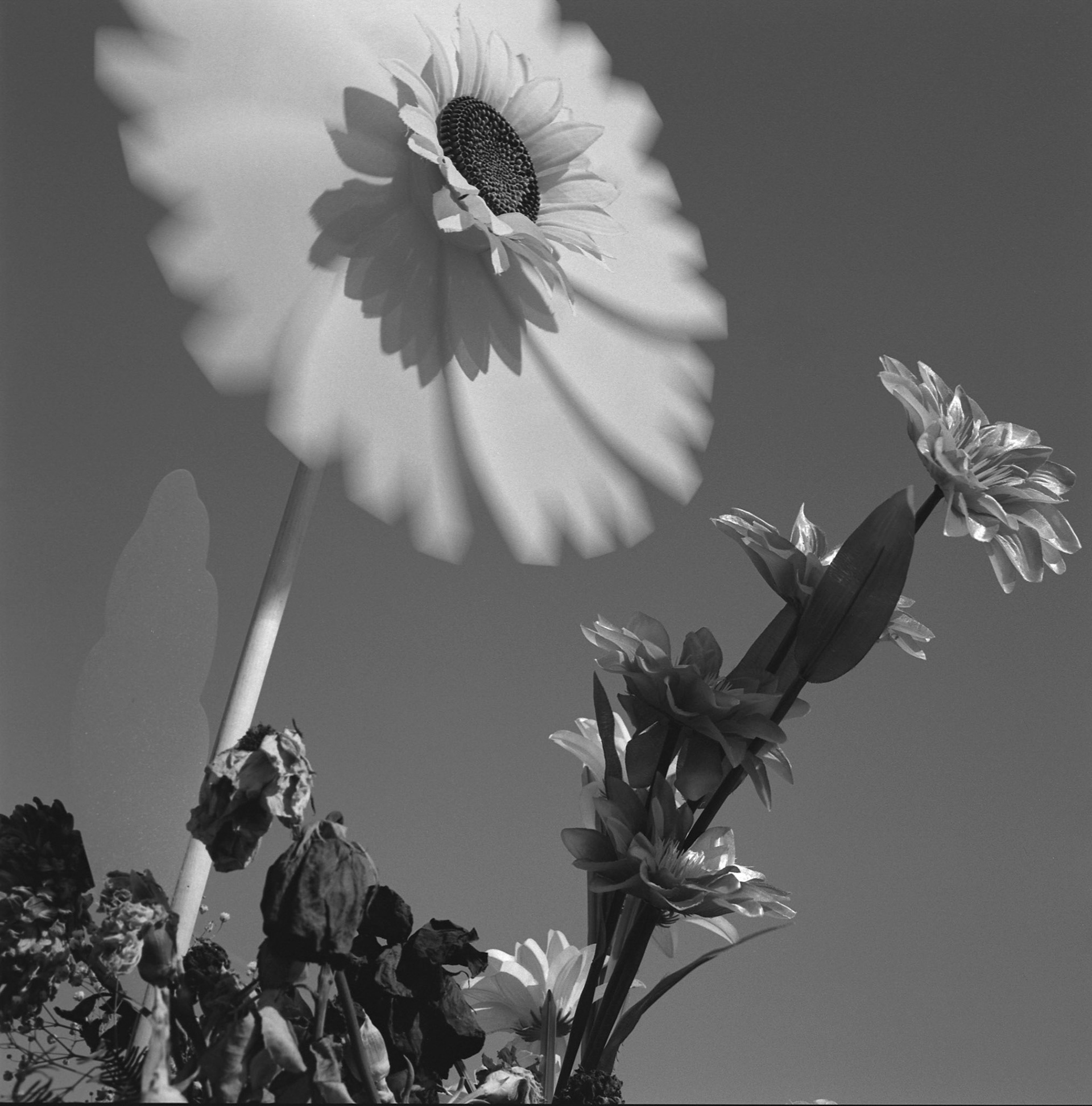 Photograph by Alberto Garcia Alix