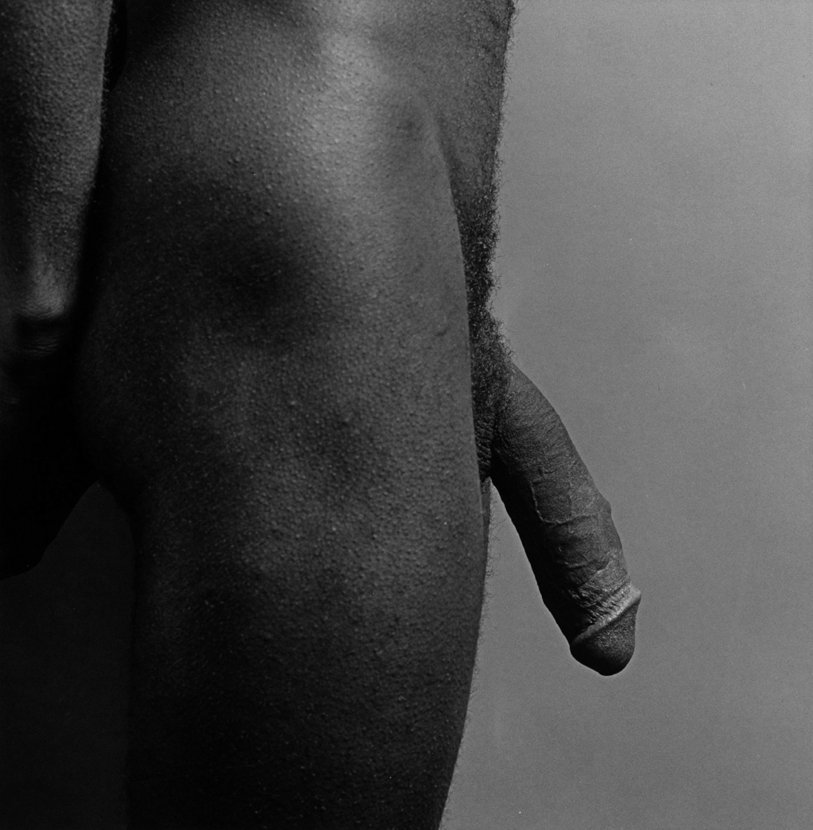 Photograph by Robert Mapplethorpe