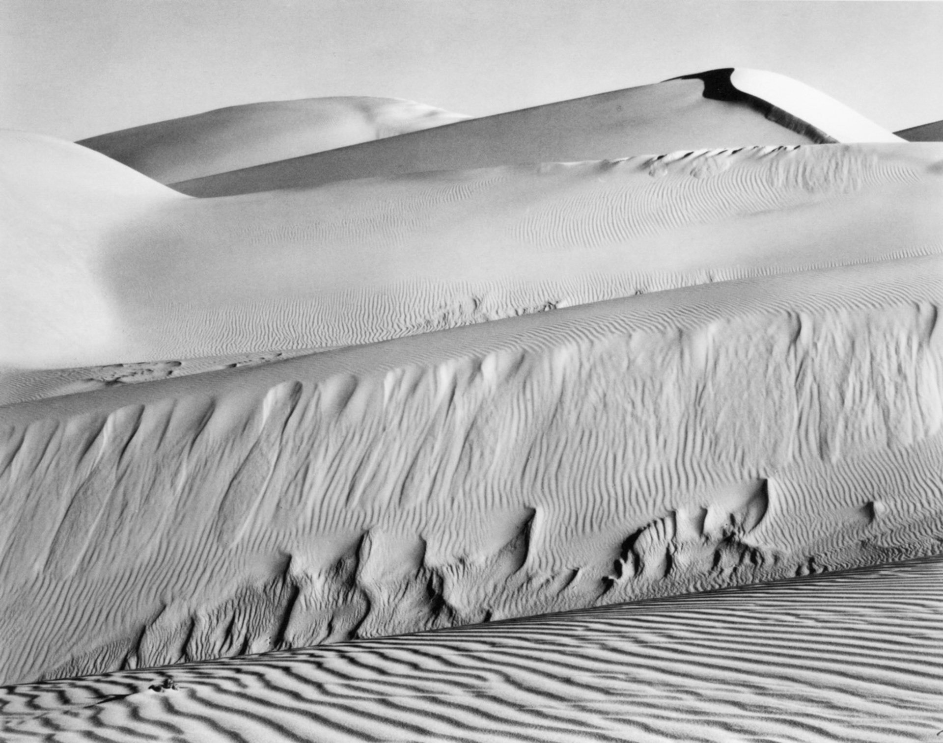 Photograph by Edward Weston