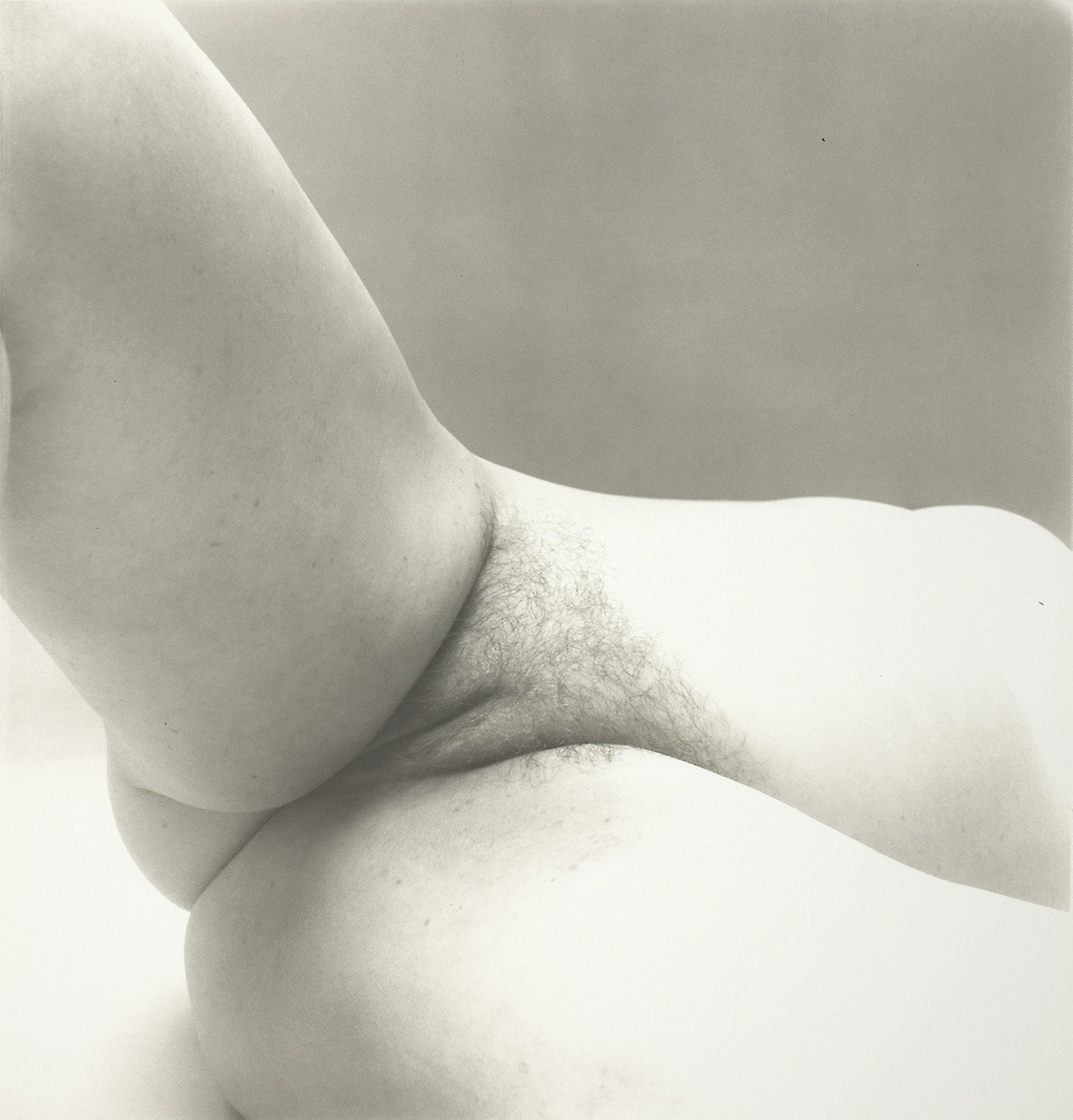 Photograph by Irving Penn * Nudes