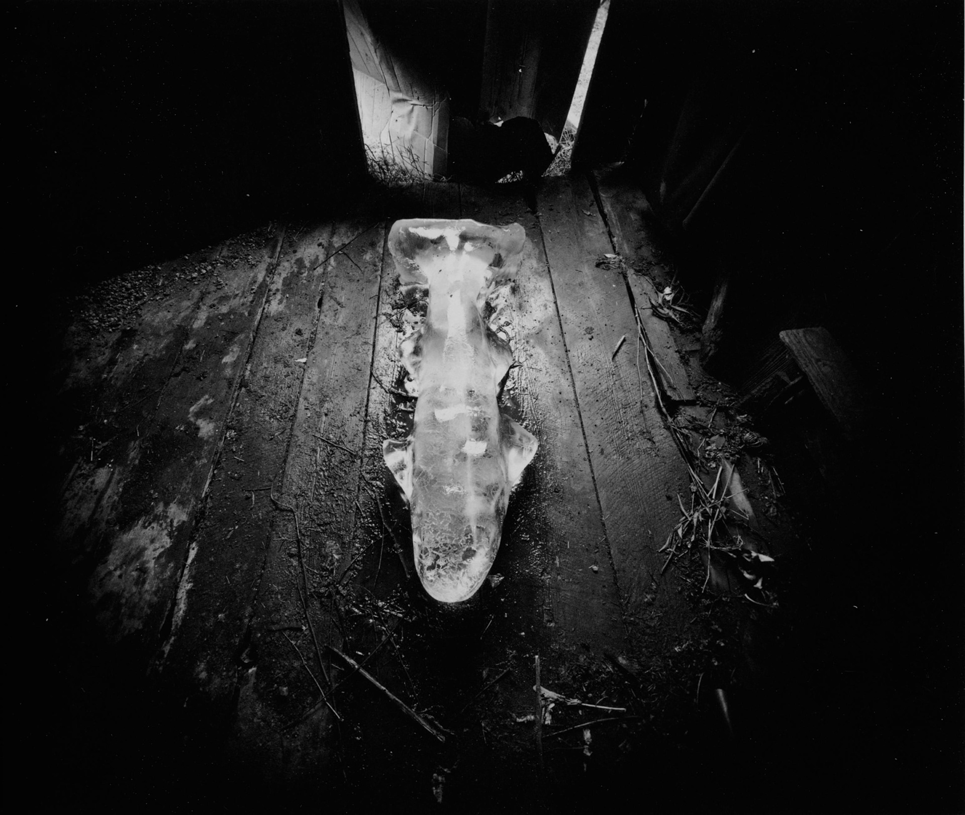 Photograph by Emmet Gowin