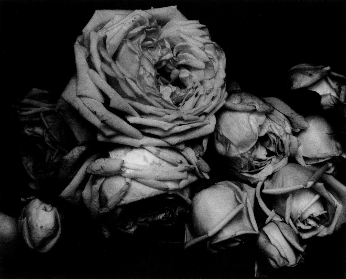 Photograph by Edward Steichen