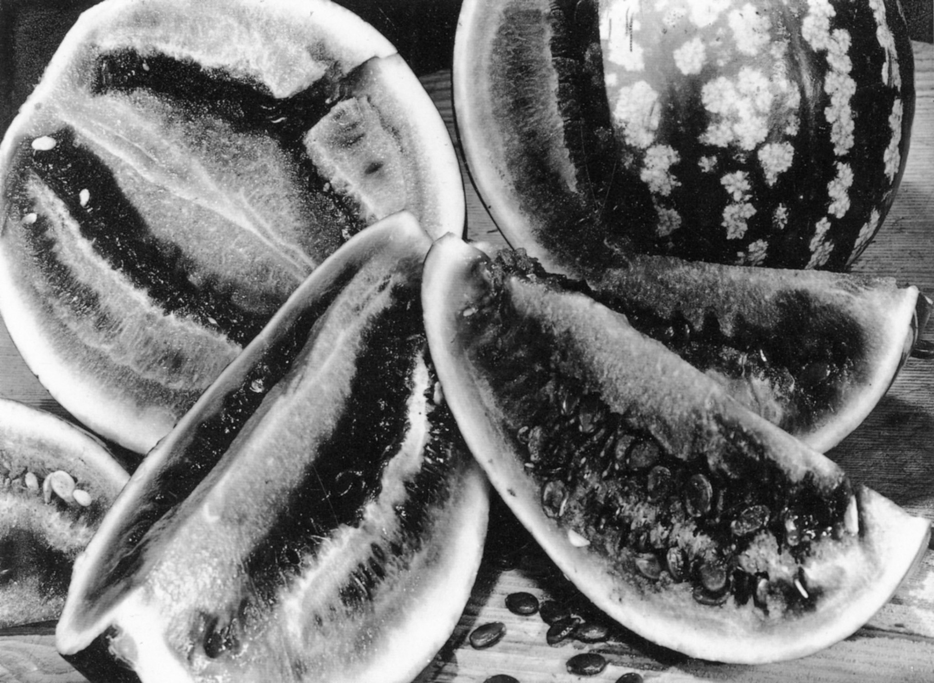 Photograph by Aenne Biermann