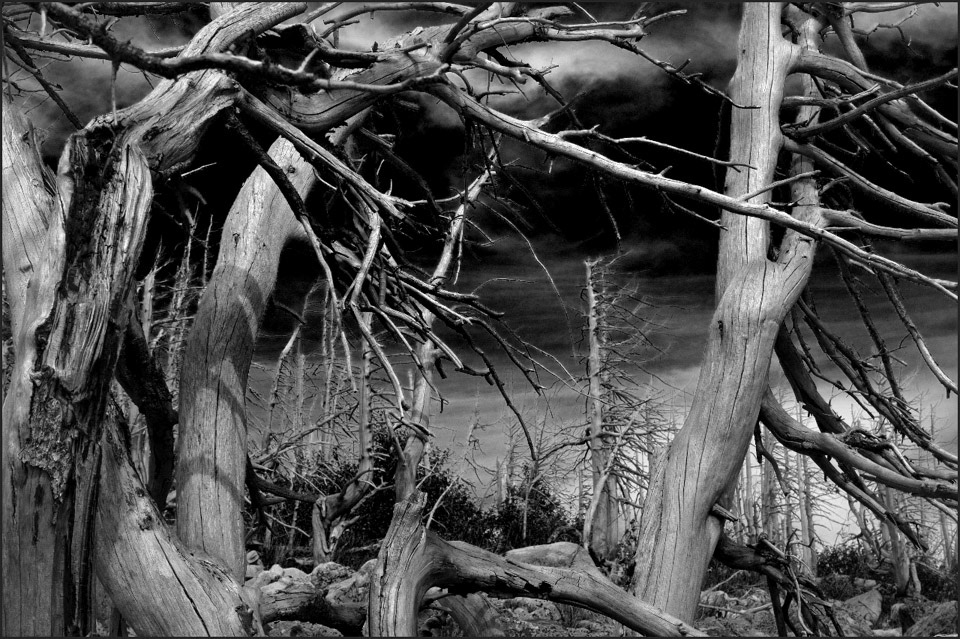 Photograph by Nikolay Bakharev