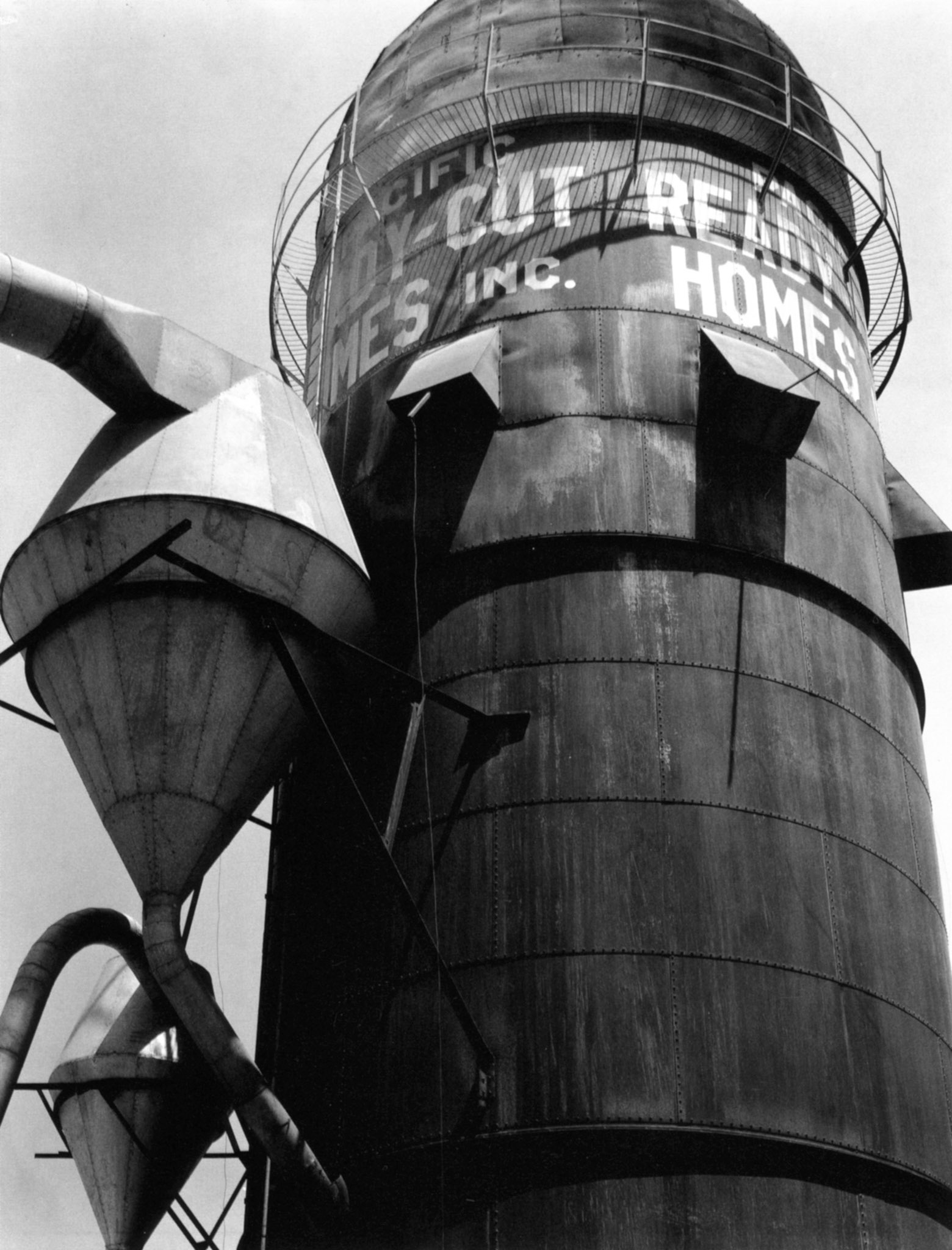 Photograph by Edward Weston