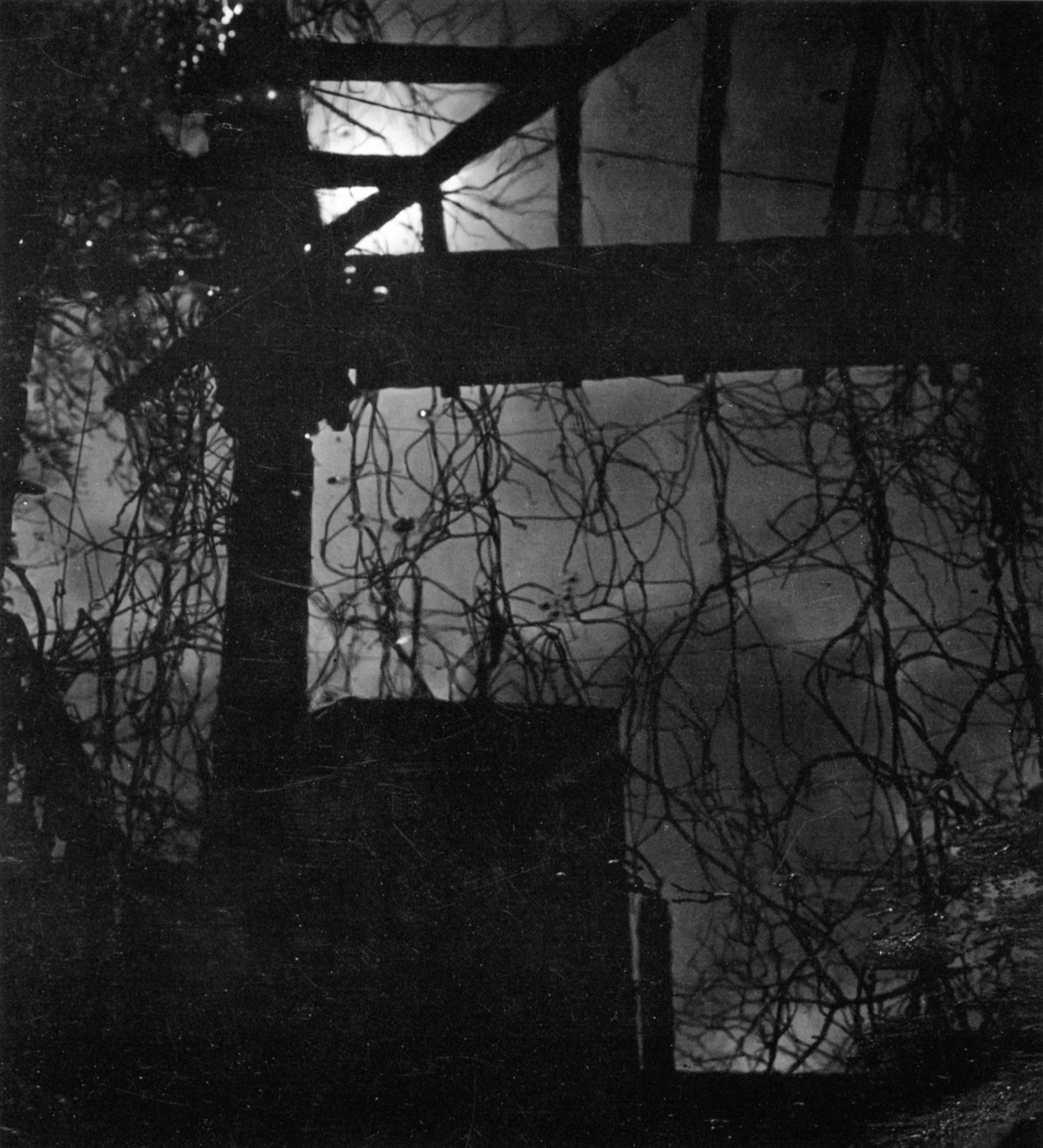 Photograph by Aenne Biermann