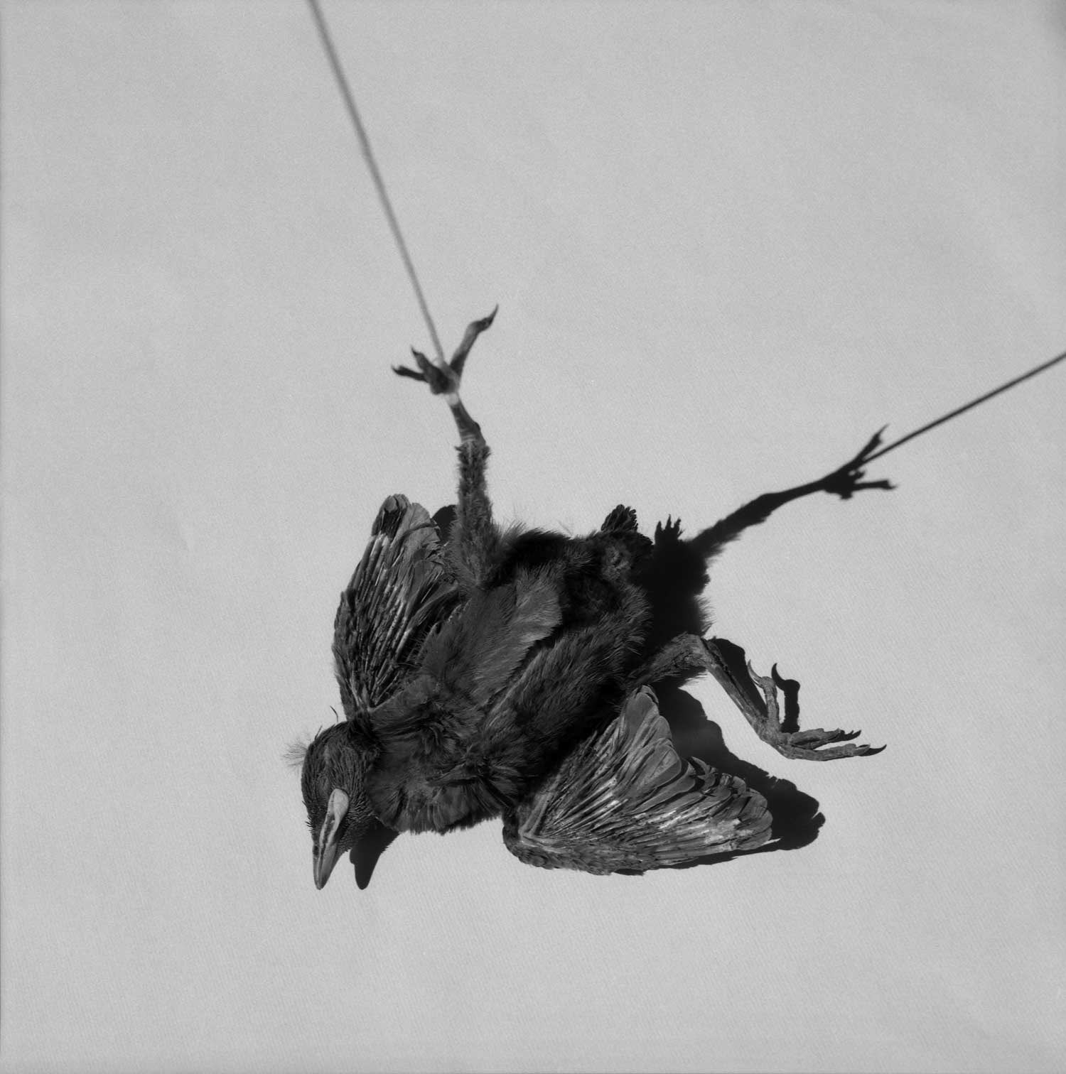 Photograph by Alberto Garcia Alix