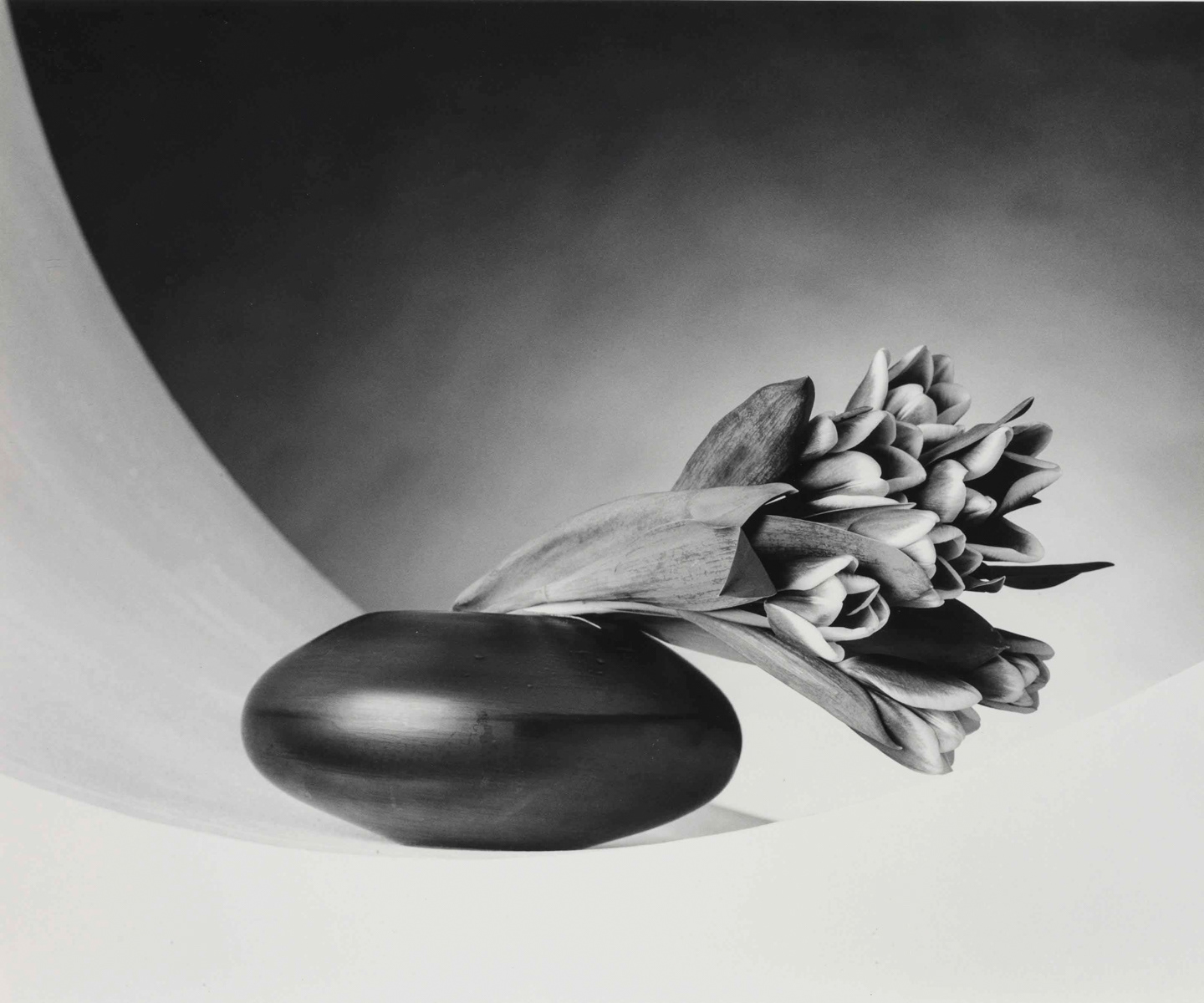 Photograph by Robert Mapplethorpe