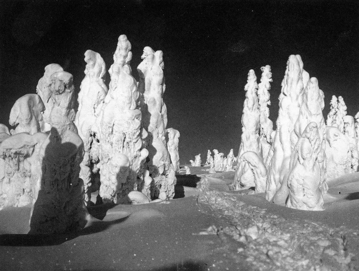 Photograph by Haeckel