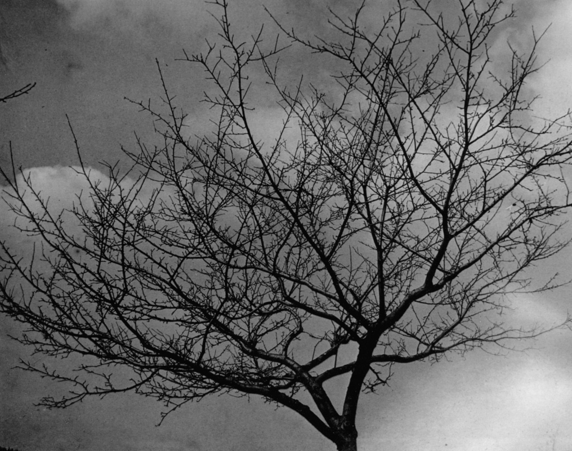 Photograph by Aenne Biermann