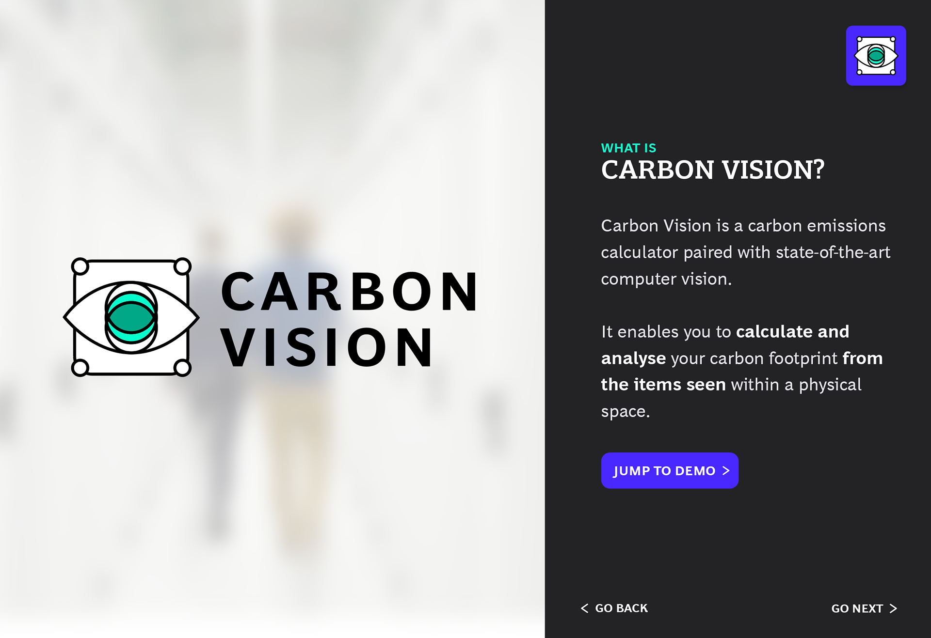 Carbon Vision App Demo Story