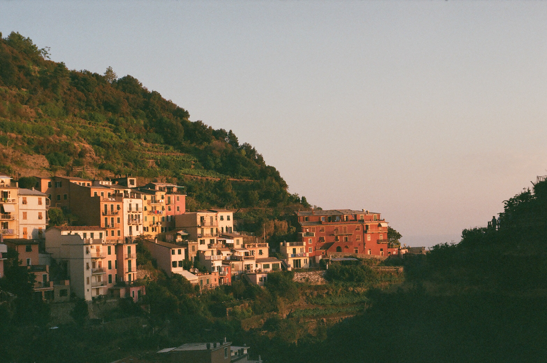 Saffron Huang europe misc