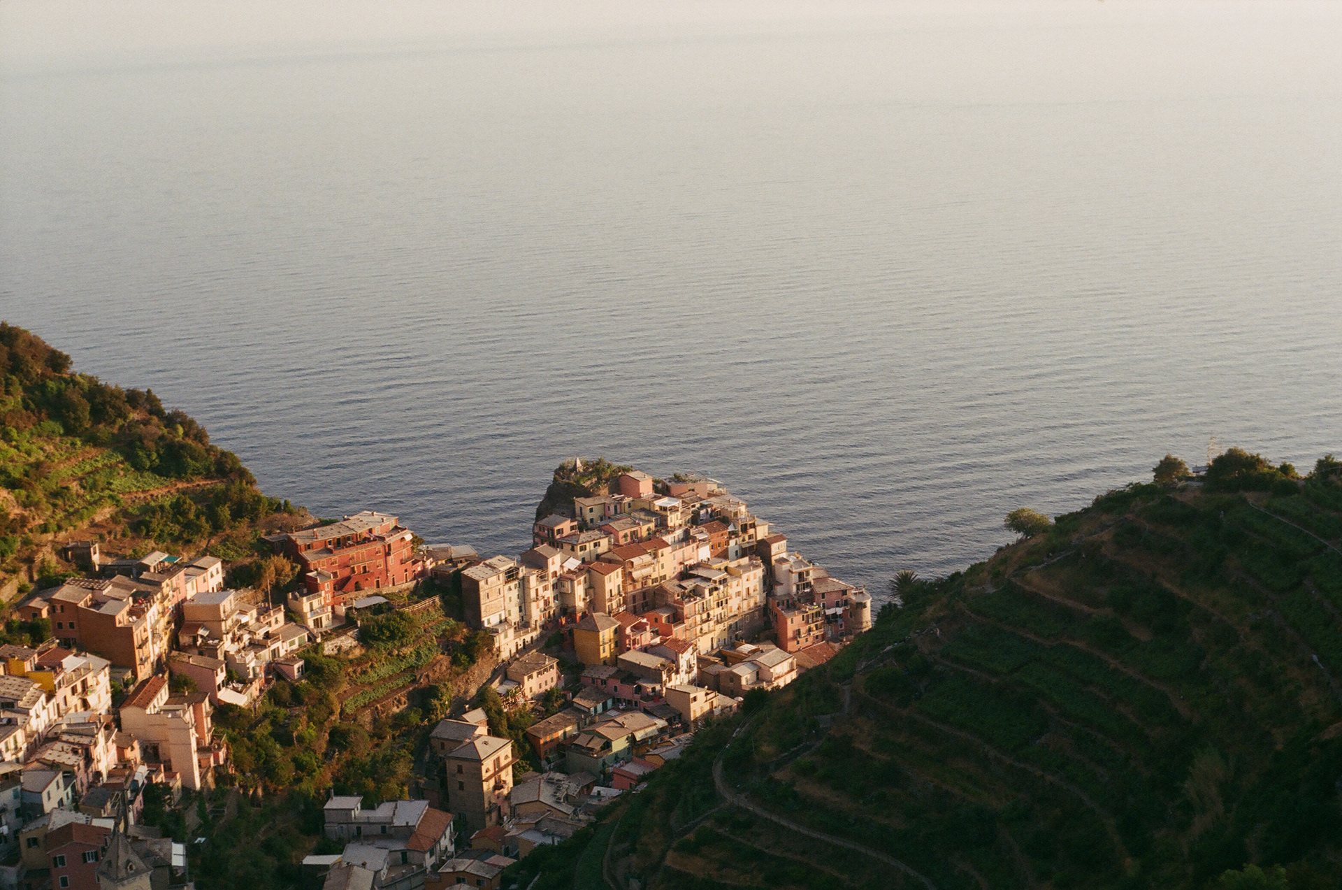 Saffron Huang europe misc