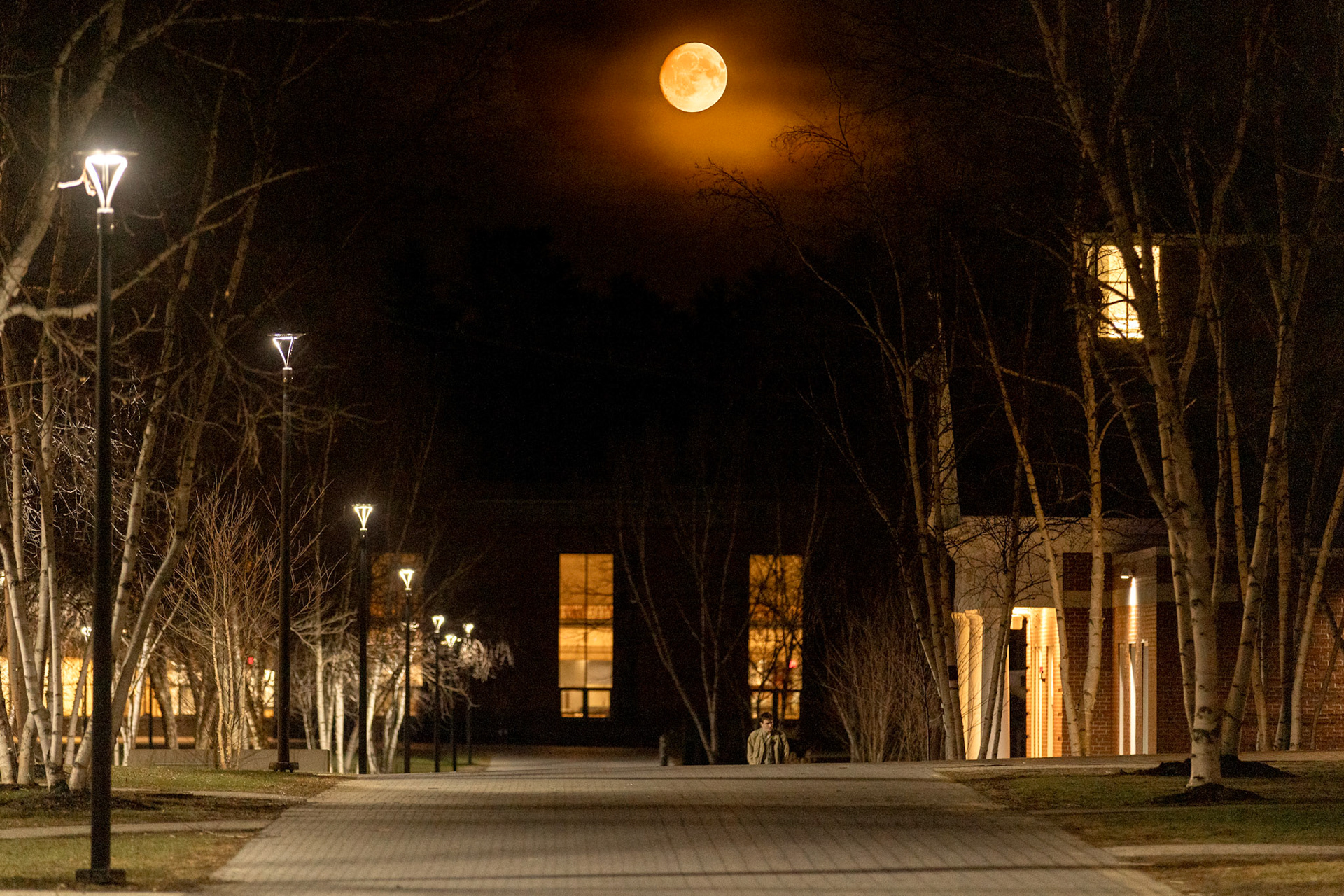 Orange moon captured on 15 April 2025 layed from other images and long exposures to create best image.
