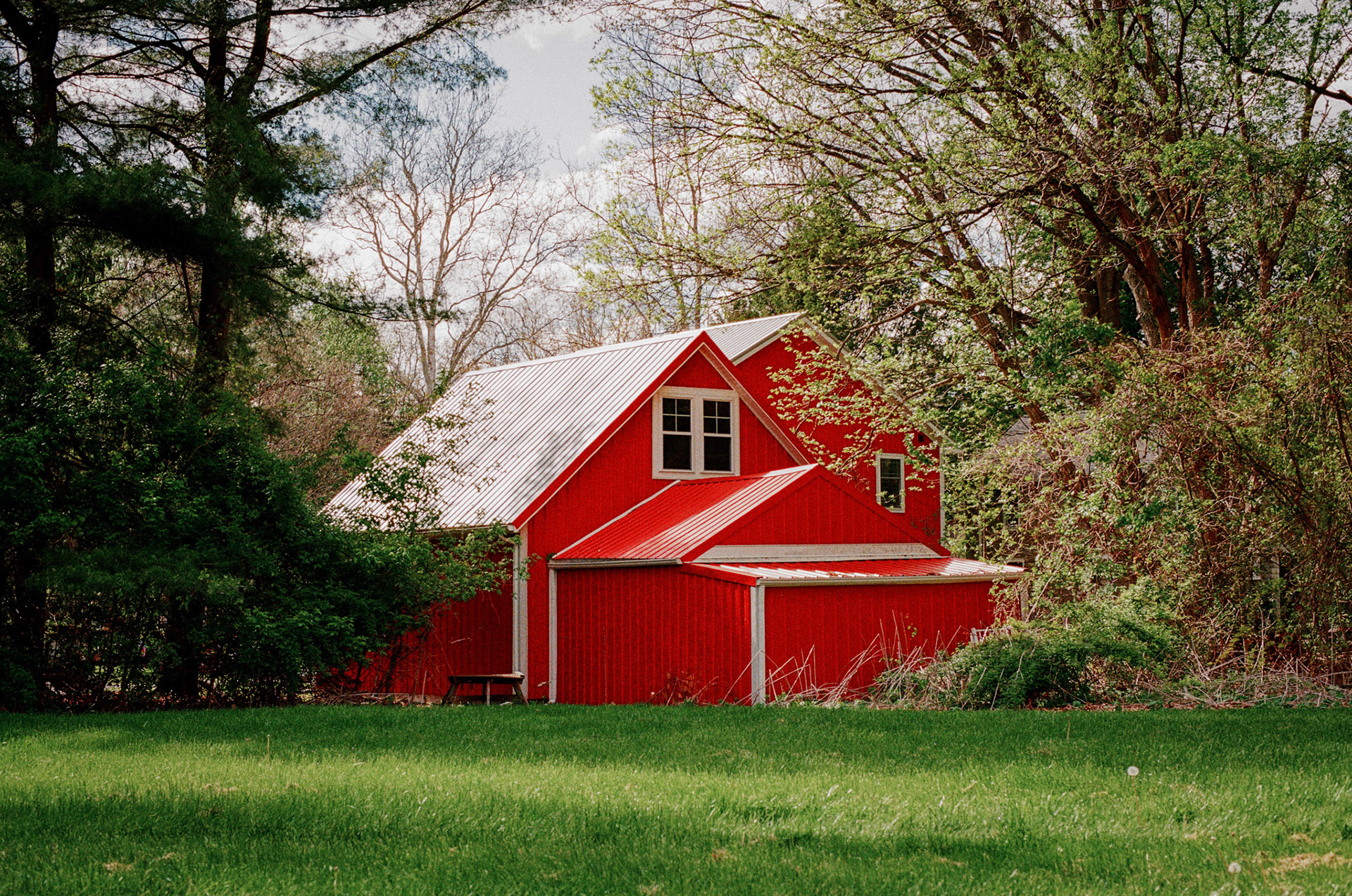 Kodak ULTRA MAX 400 - ISO 400 - 135 | Scanned by Nice Film Club