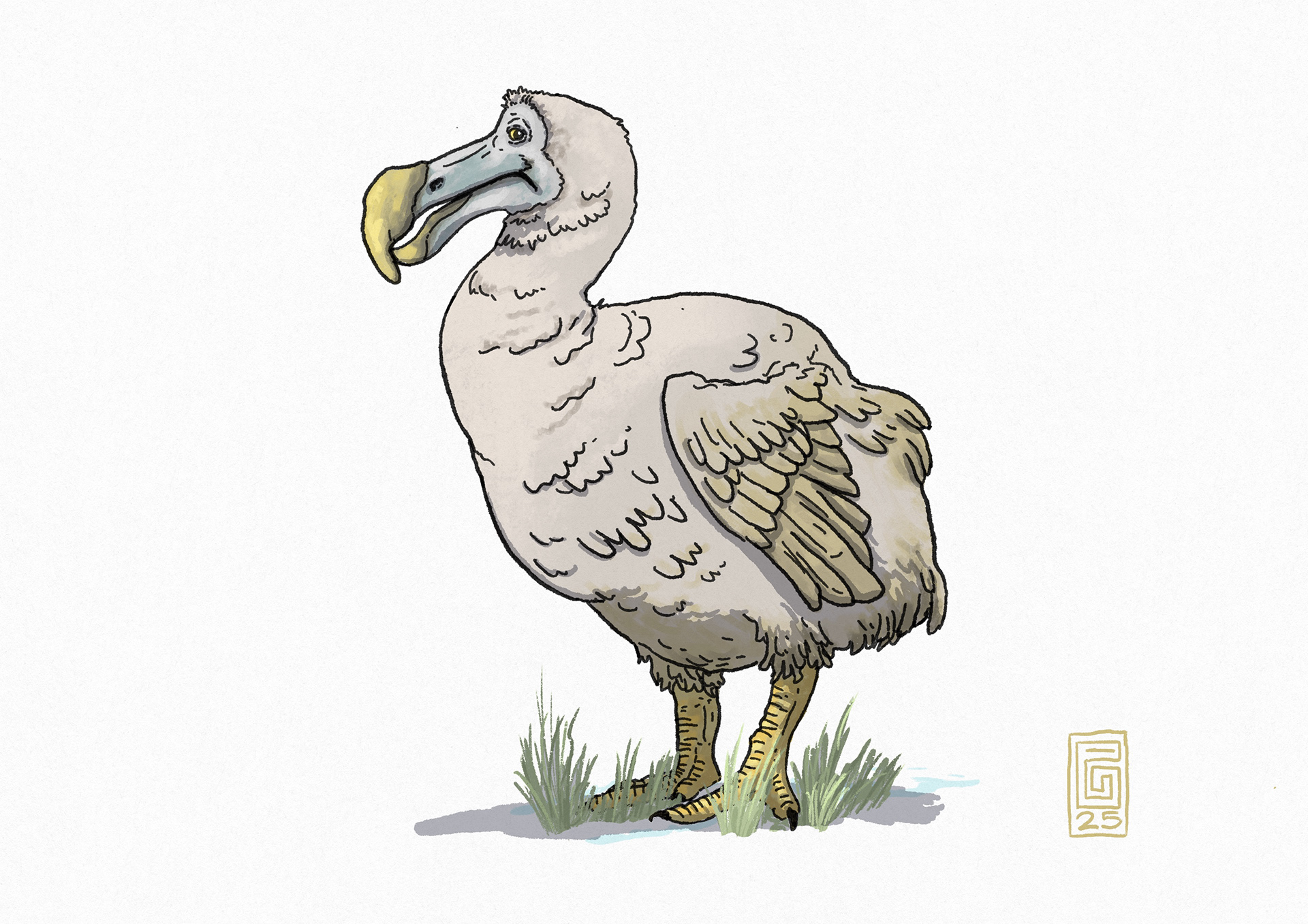 Dodo