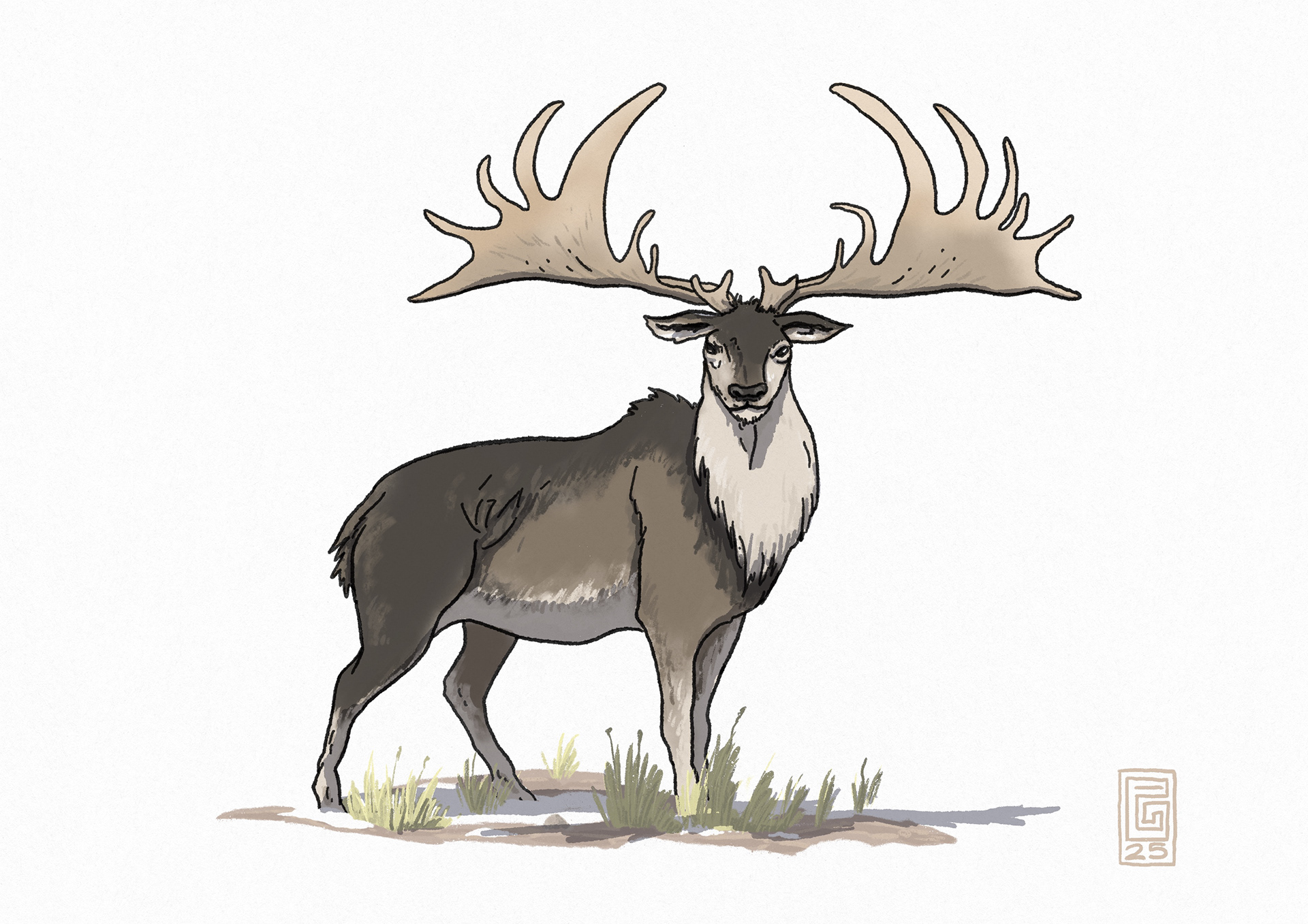 Megaloceros