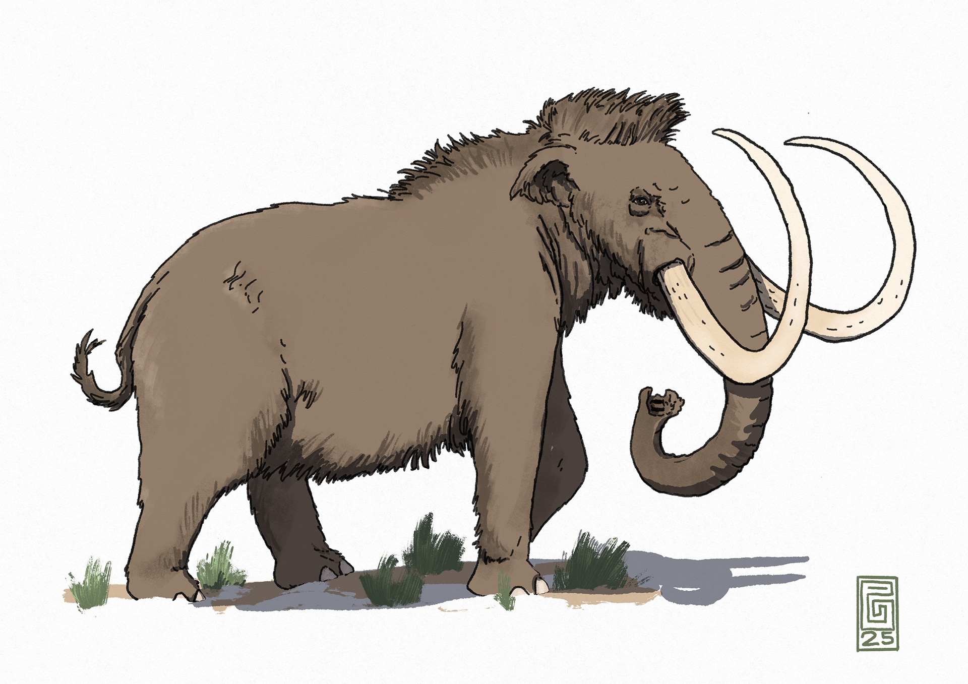Wollhaarmammut