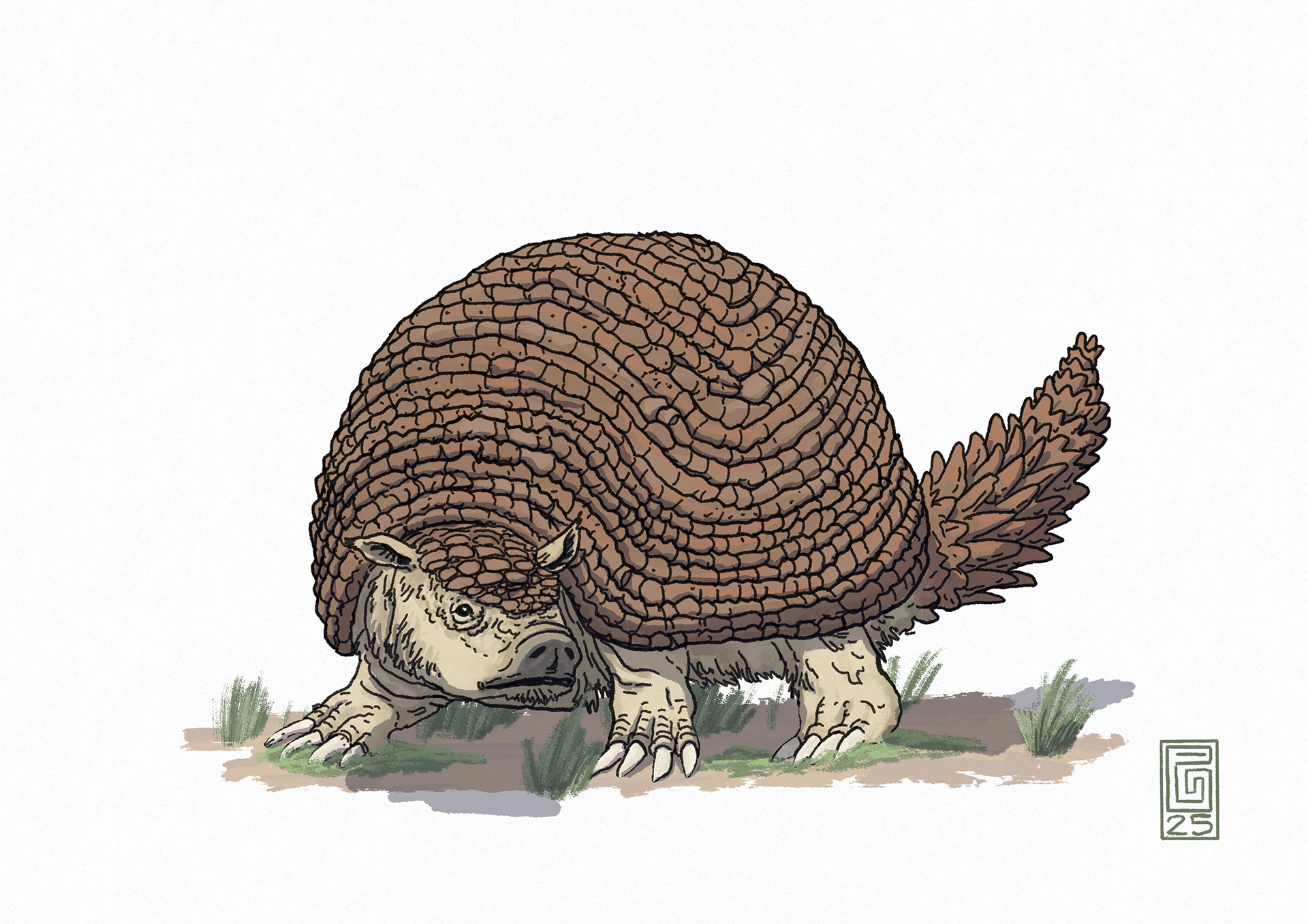  Glyptodon