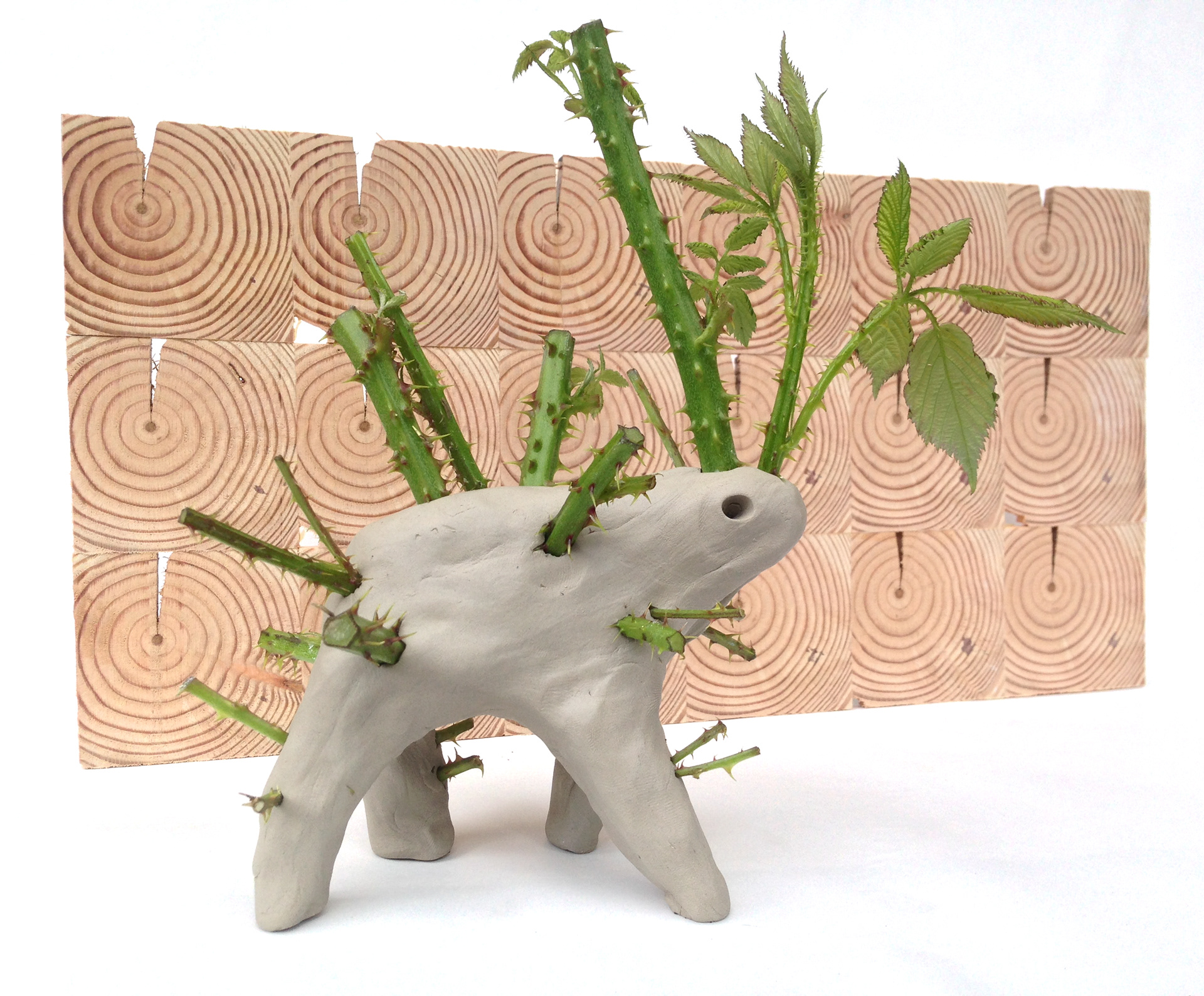 Untitled, 2014. Clay, Blackberry vine, wood.