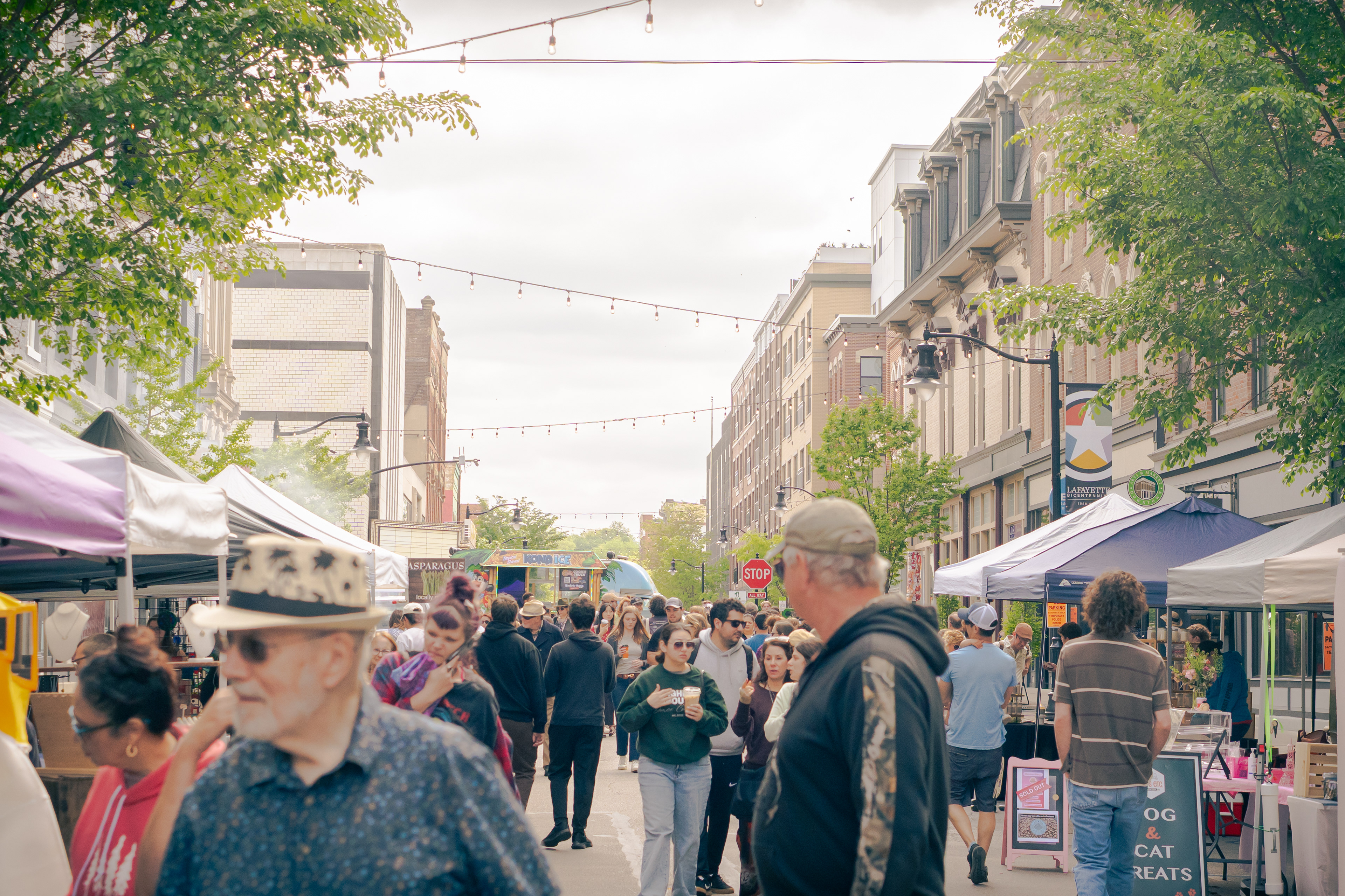 Farmer's market, 2025