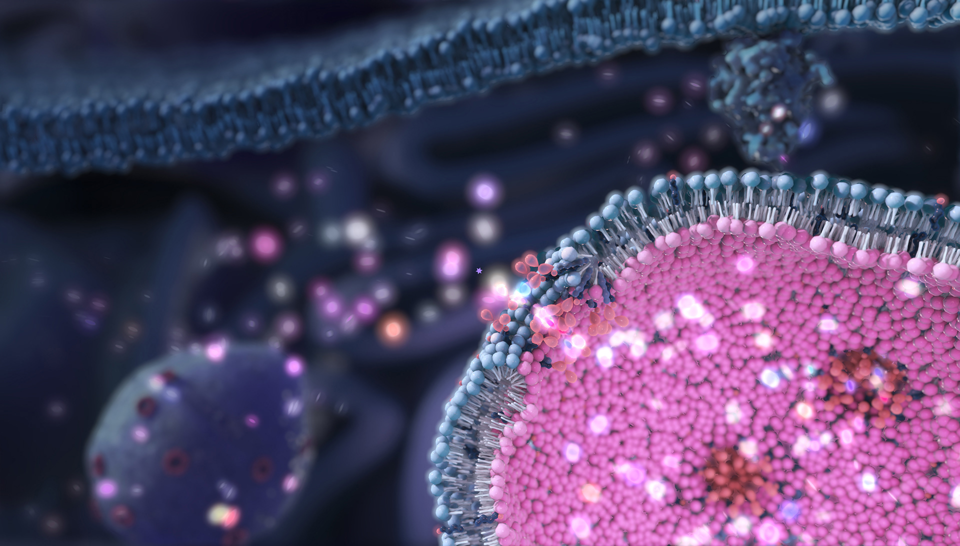 Header sapreme technologies voor Scicomvisuals