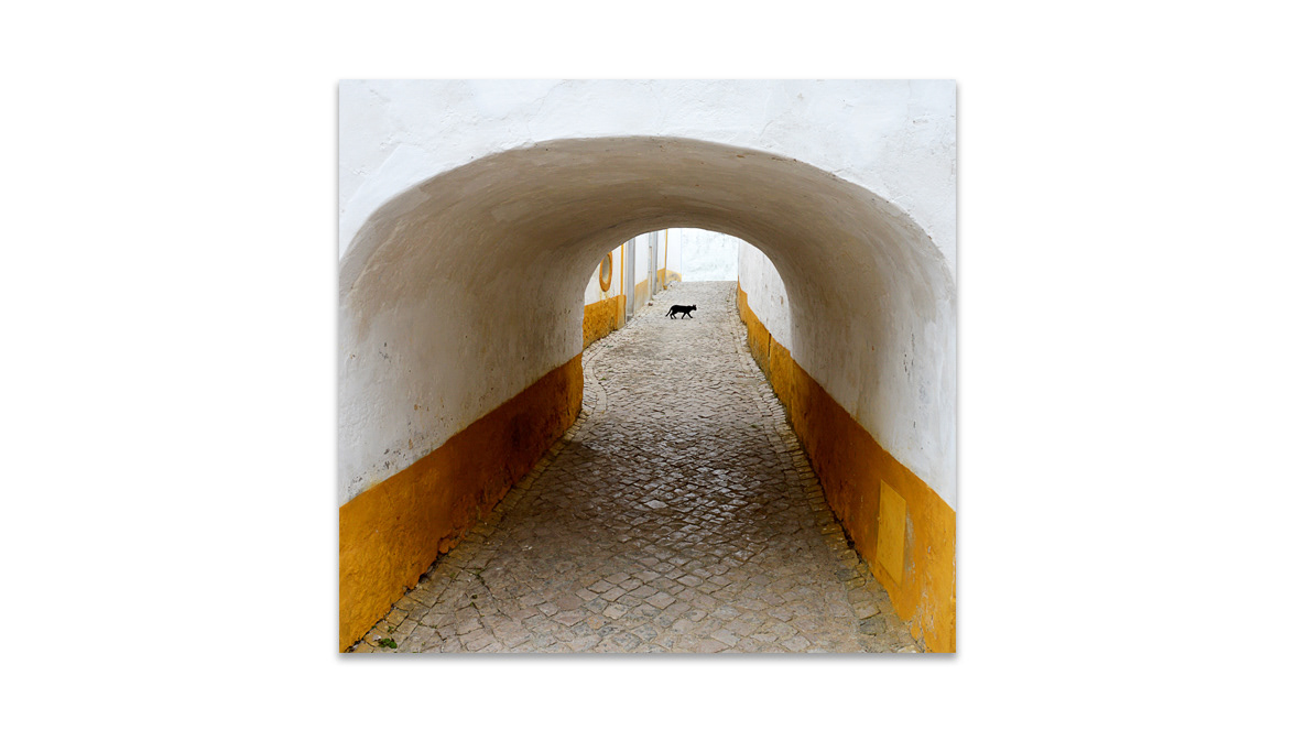 The Óbidos Black Cat - Art Thessaloniki International Art Fair, Thessaloniki, Greece