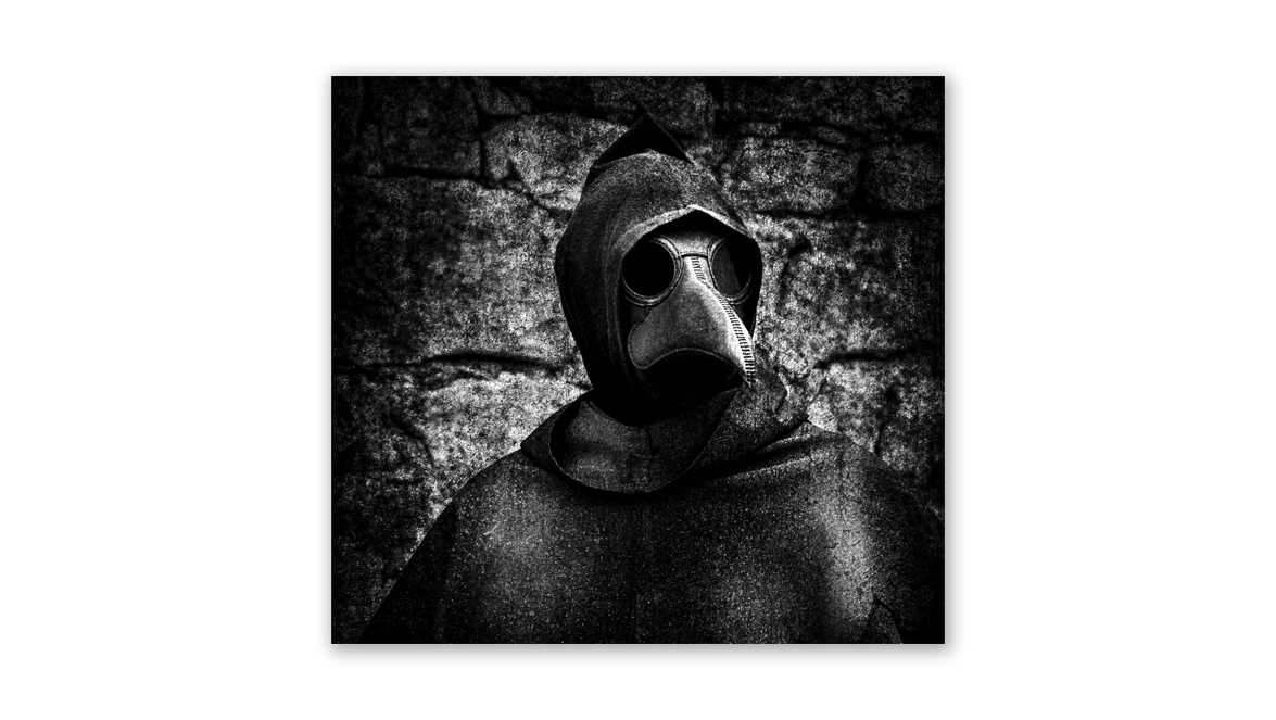 Bird Omen - Laurent Gallery, Melbourne, Australia