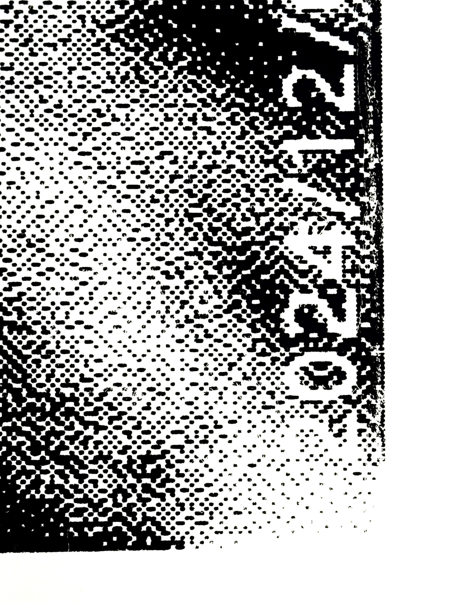 Detail Shot of Large Print (1/3)