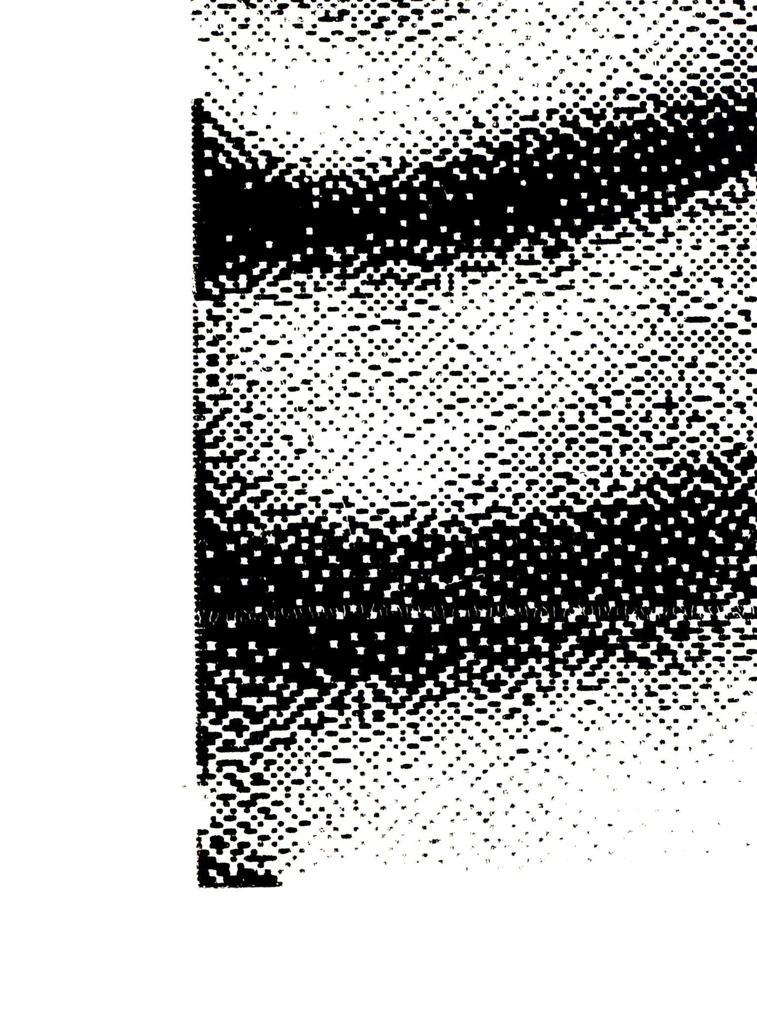 Detail Shot of Large Print (2/3)