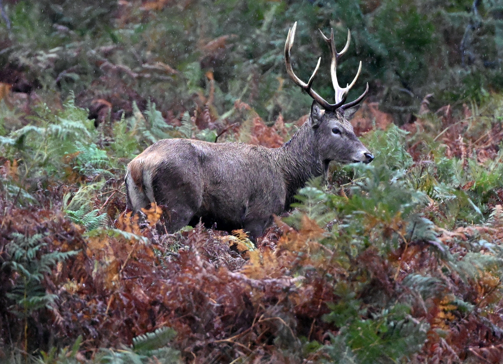 008