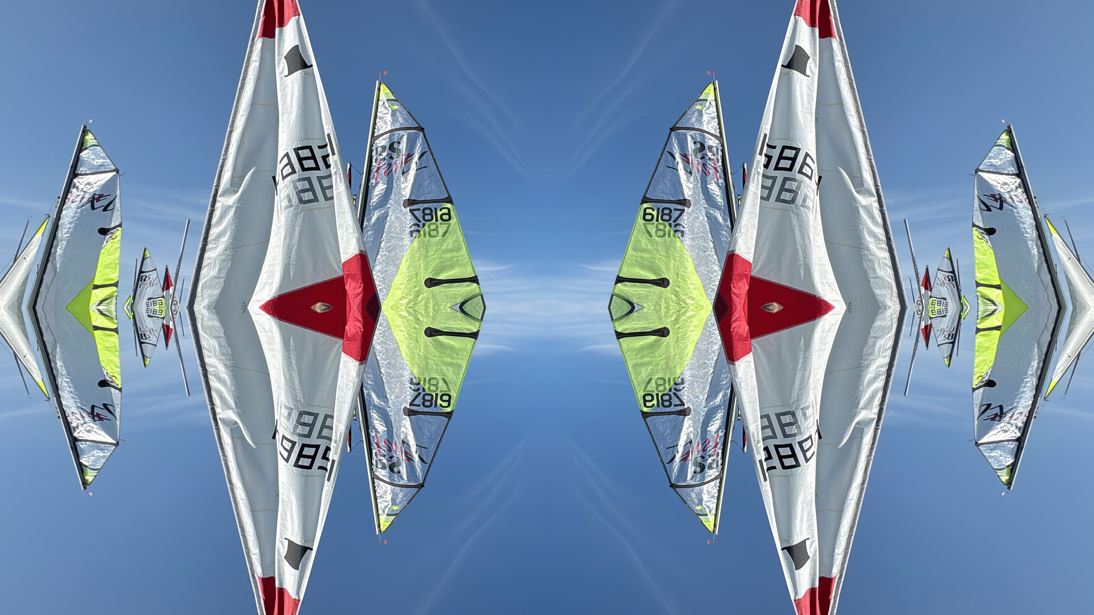 019