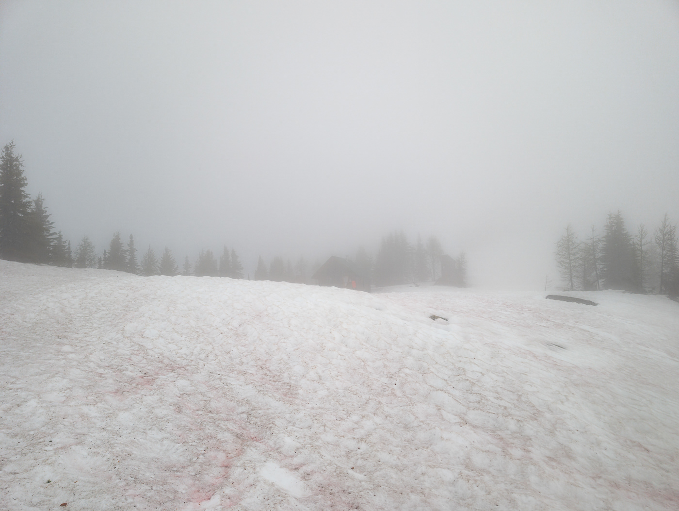 Do you see the cabin?