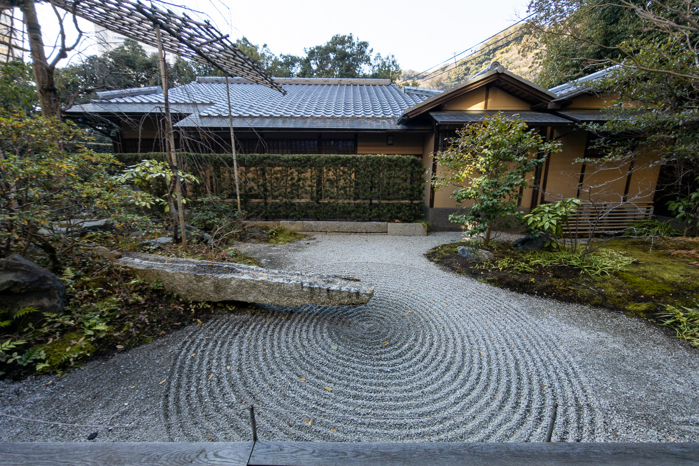 Dry Garden