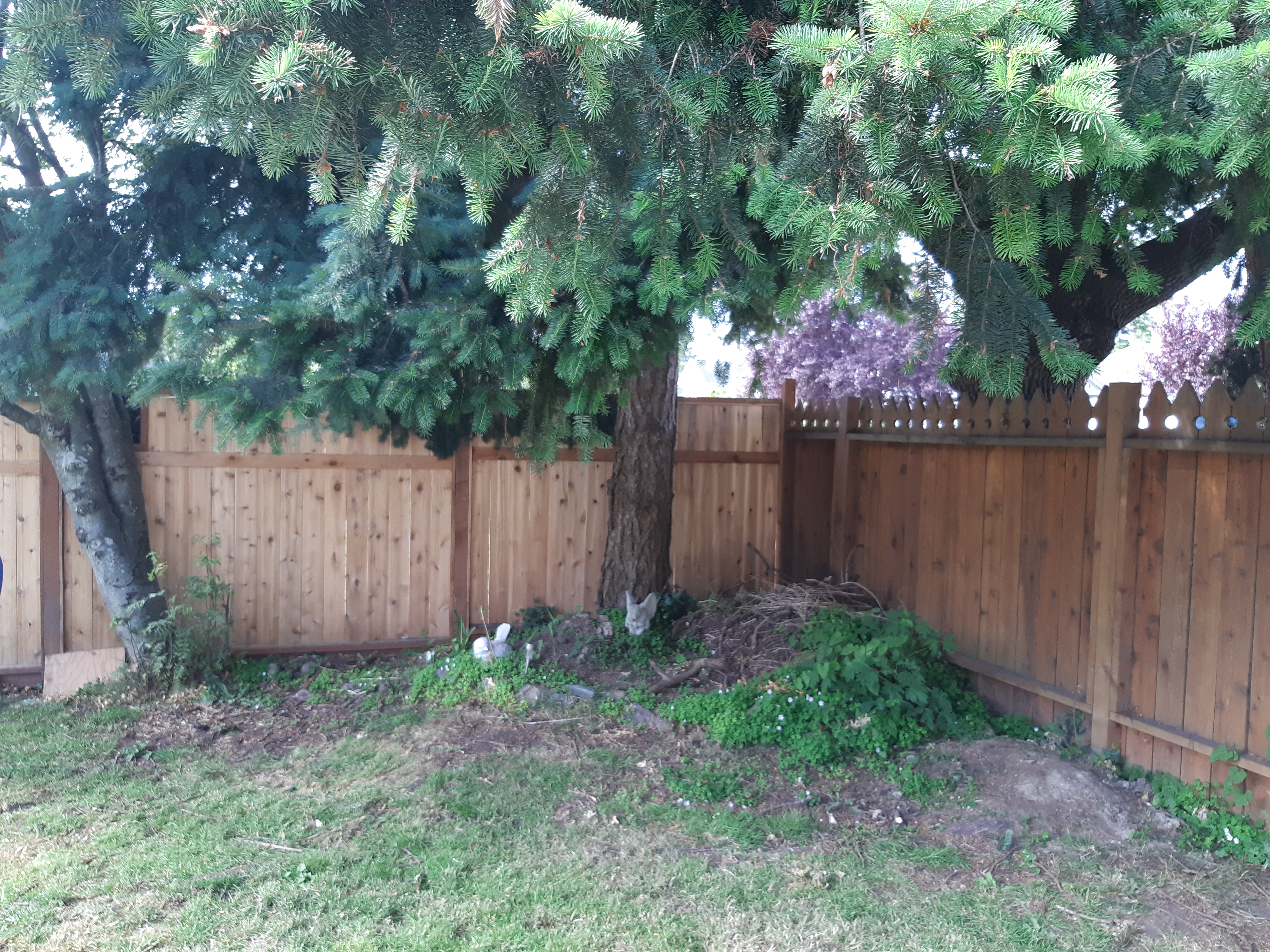 BEFORE