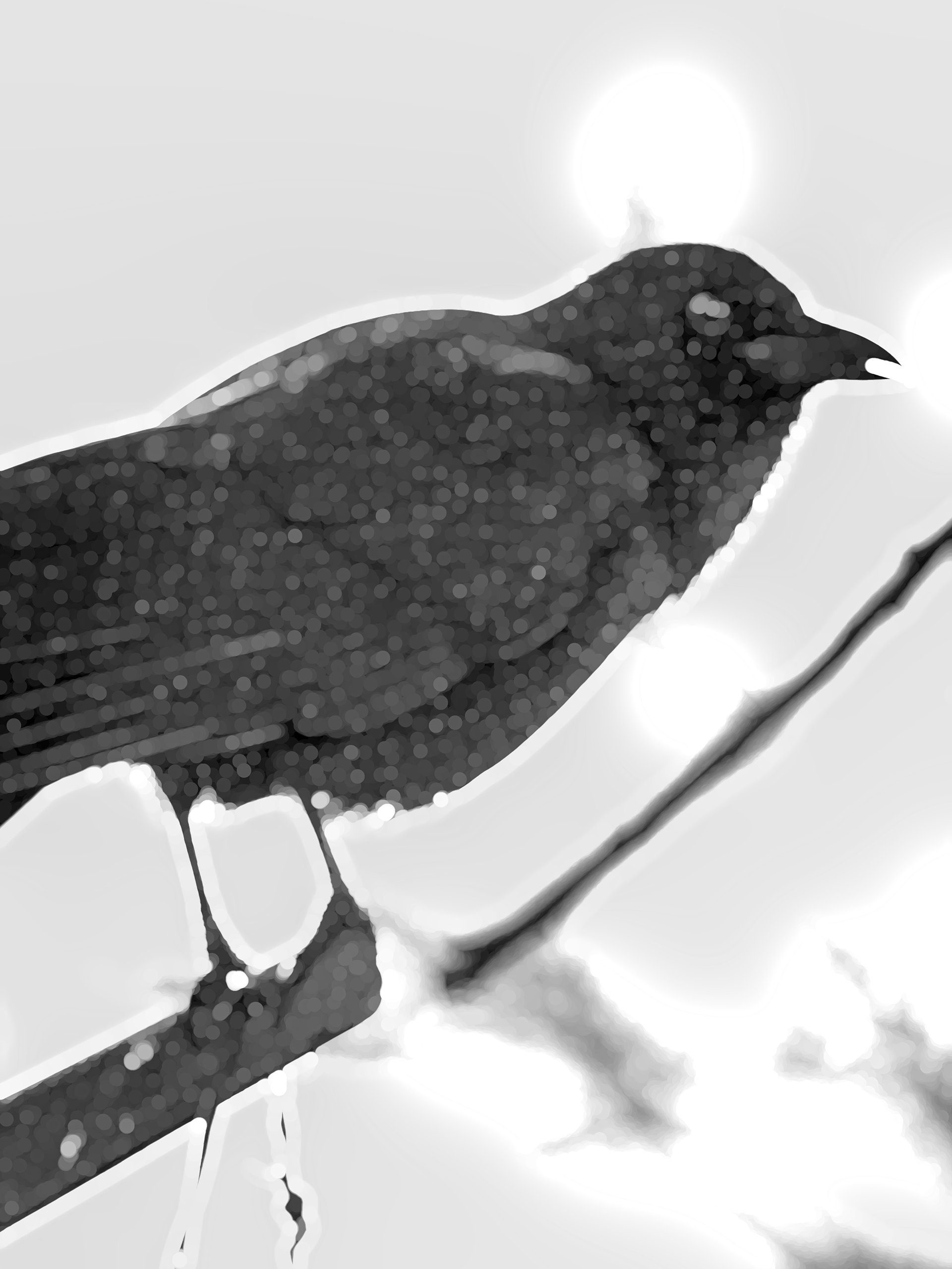 Sparkly Crow 3