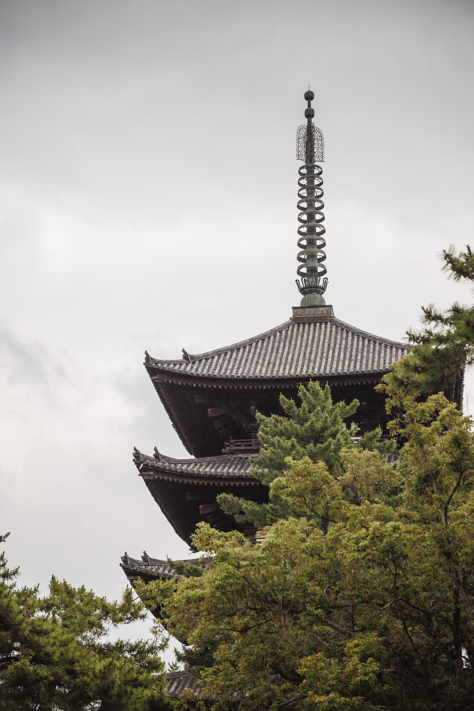 Nara, Japani