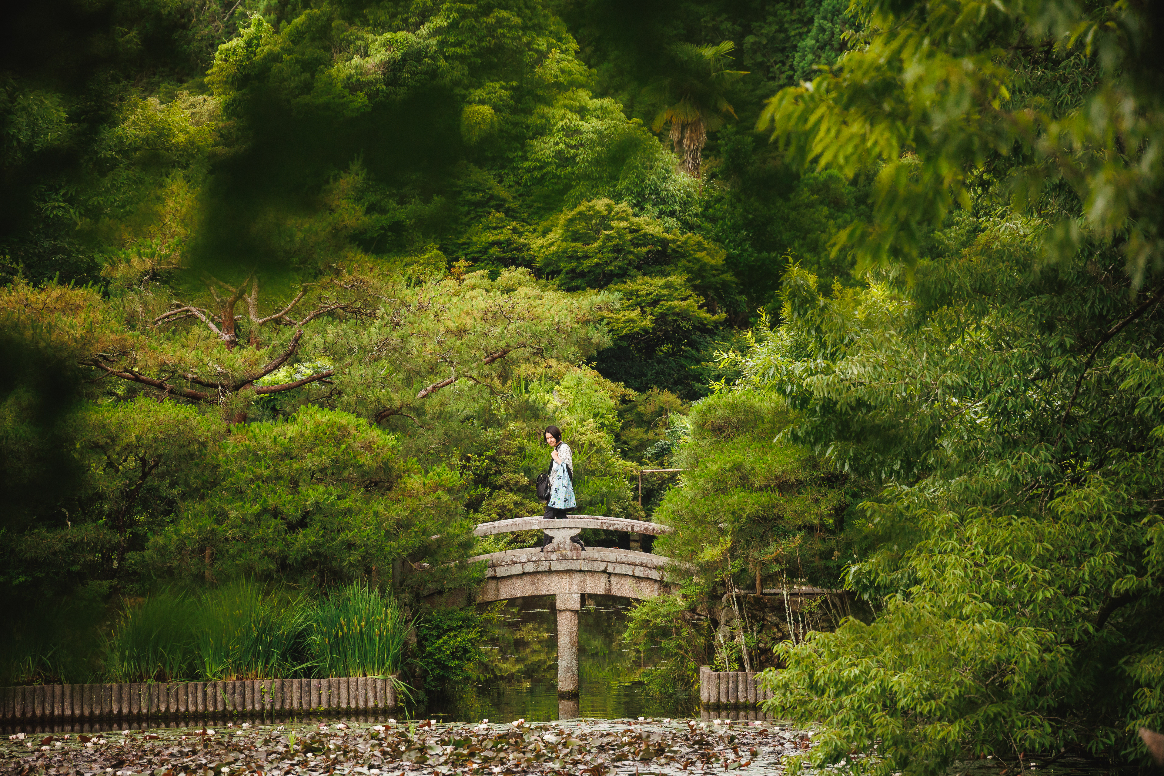 Kioto, Japani