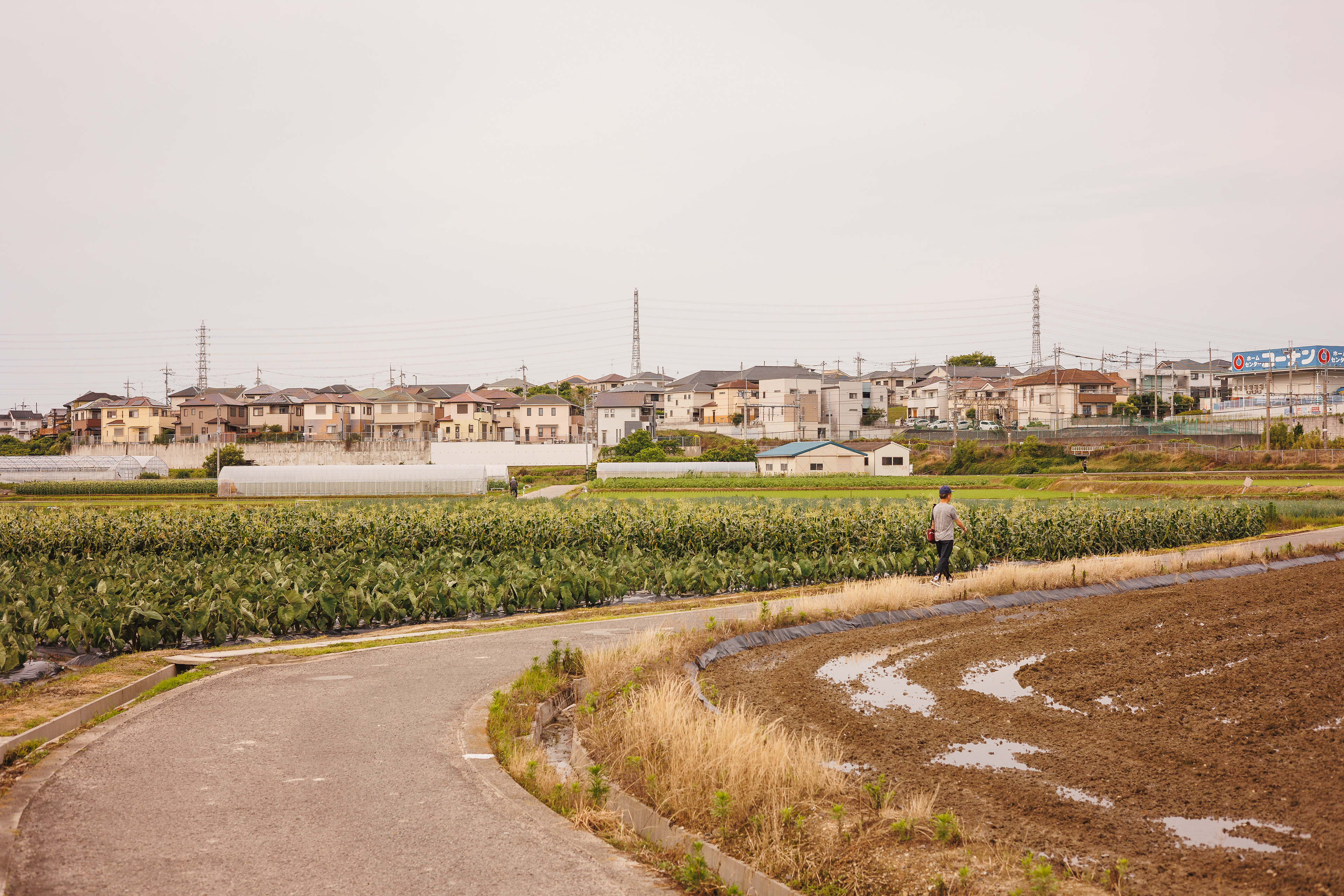 Osaka, Japani