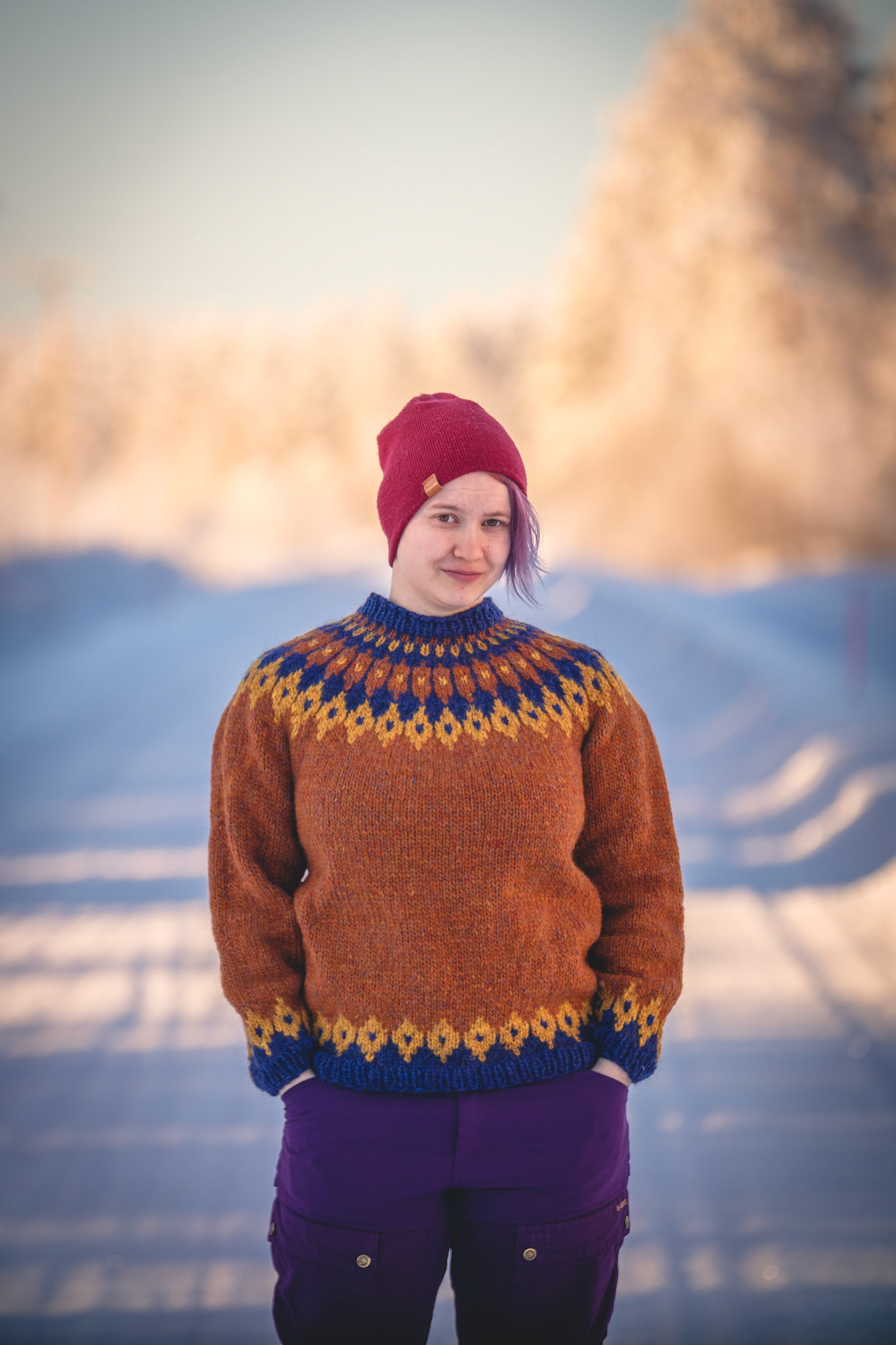 Wiivilla