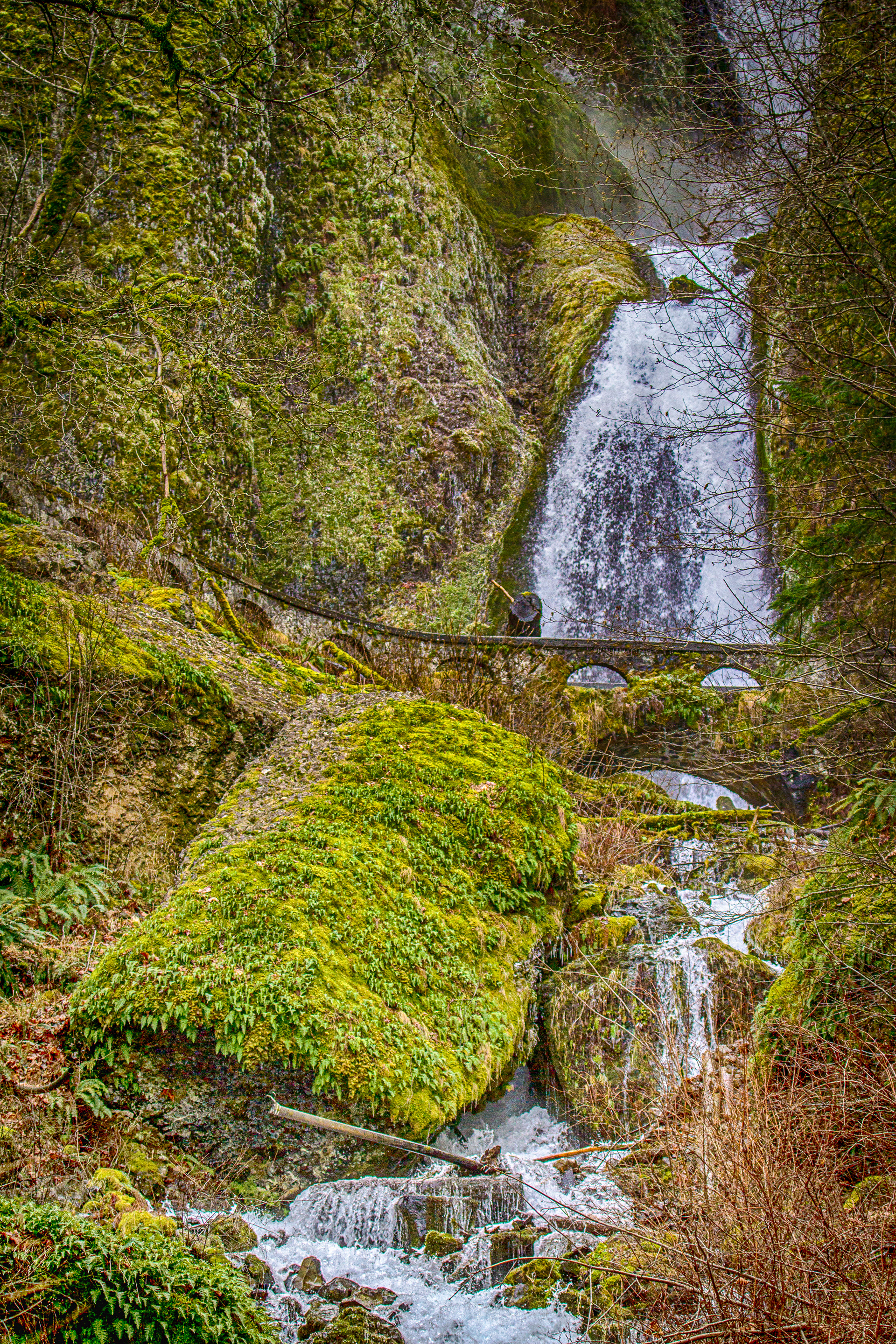 Waterfall (Columbia Gorge, OR,USA)