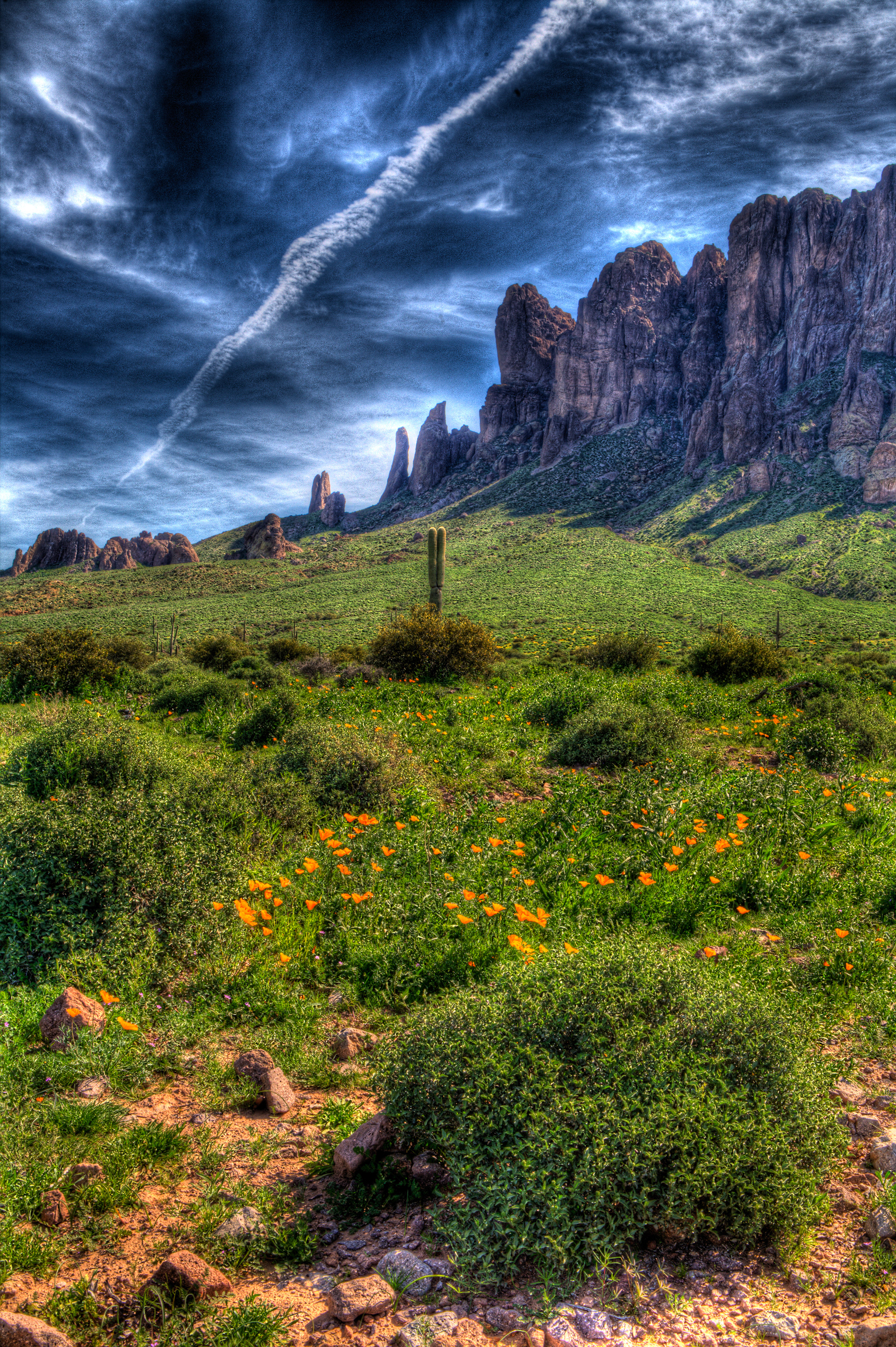 Superstition Mountains in Spring (AZ USA)