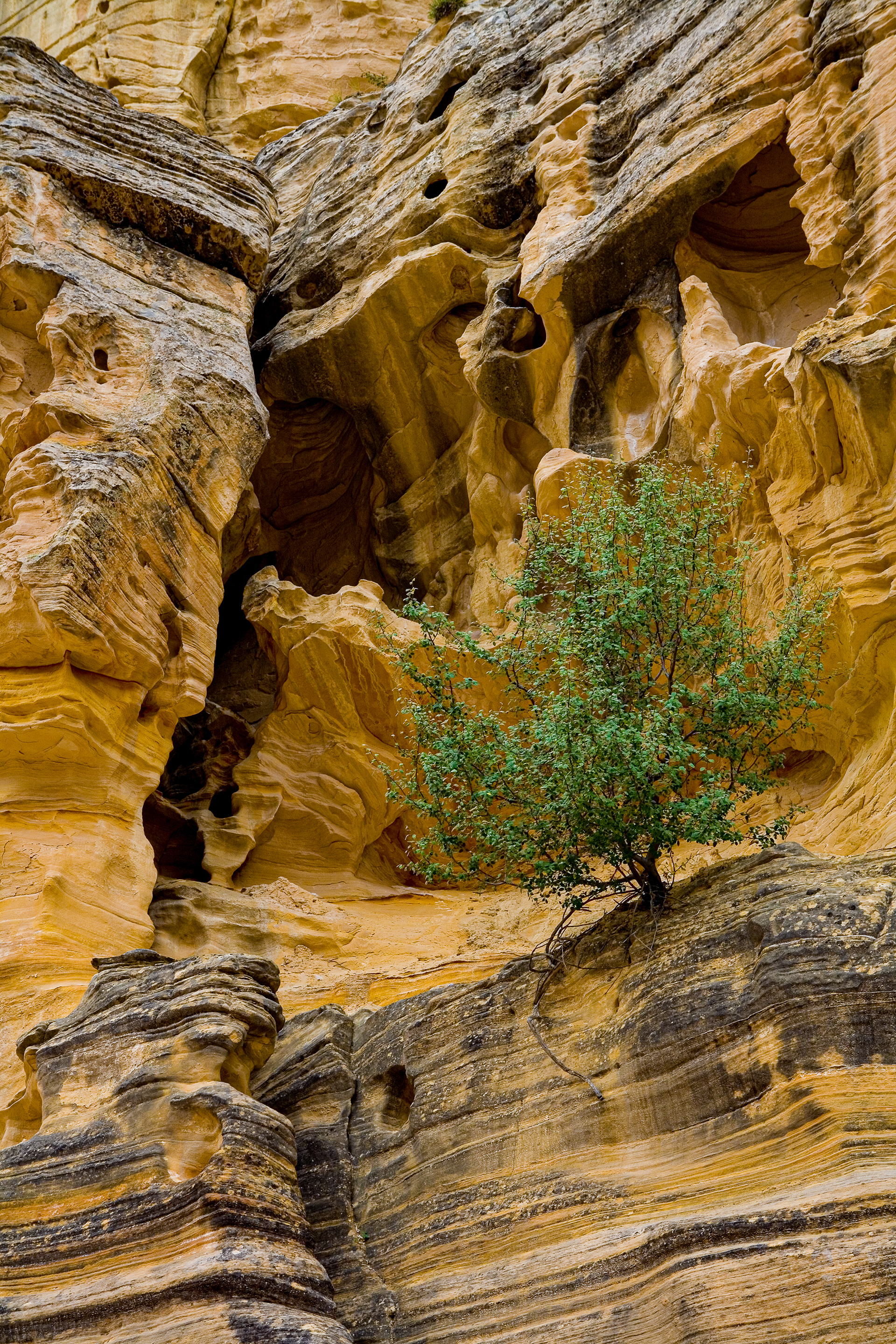 Hanging on (Utah USA)