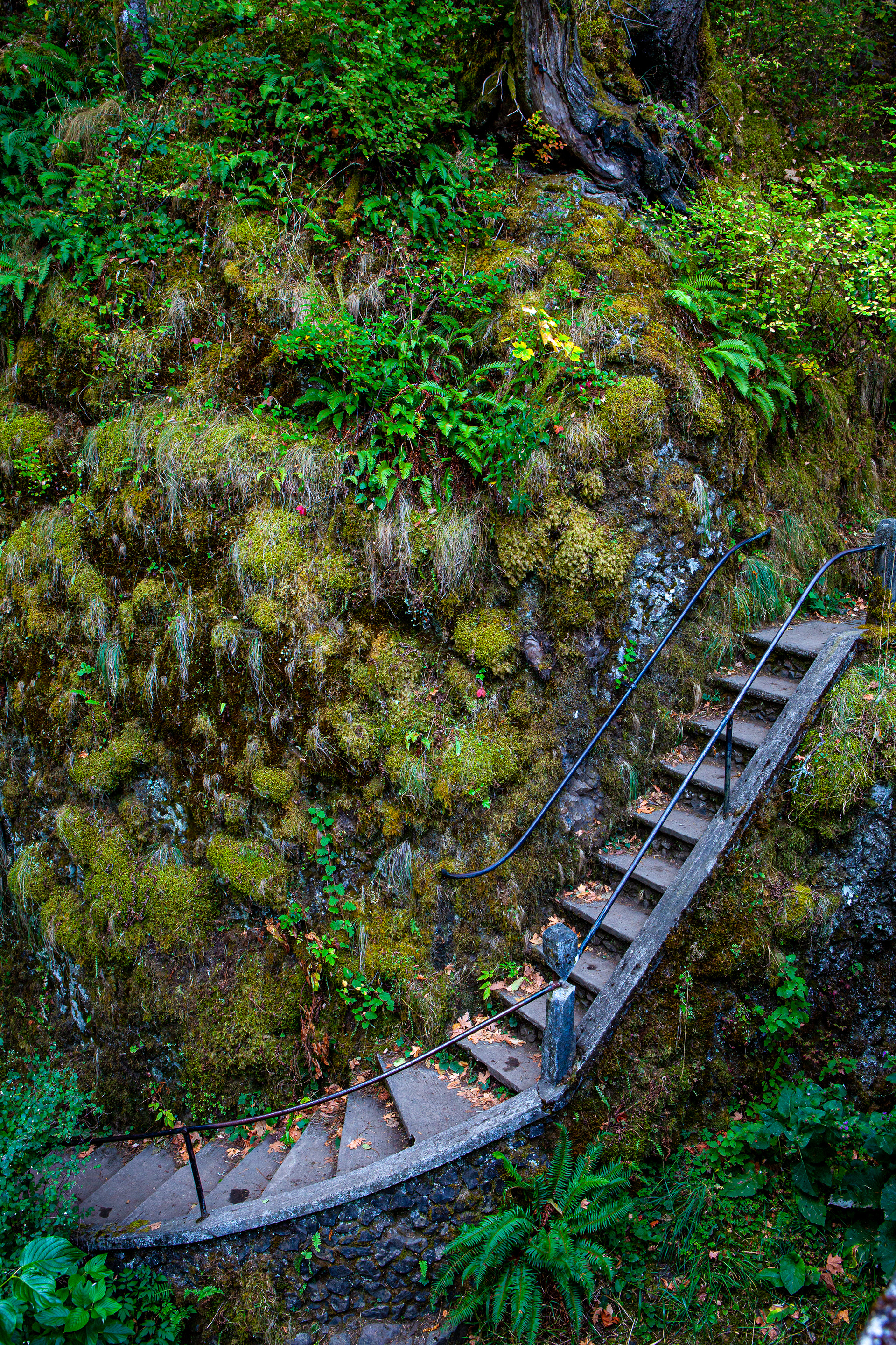 Stairs to nowhere (Columbia Gorge OR USA)