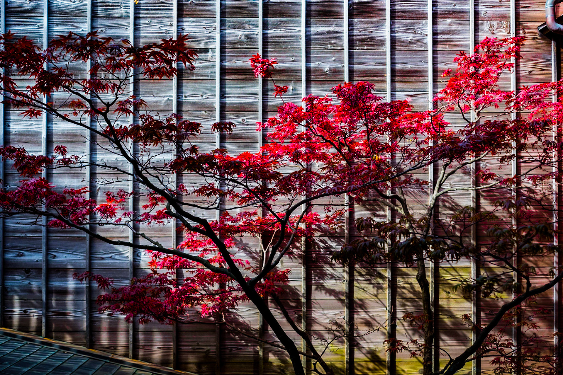 Kanazawa