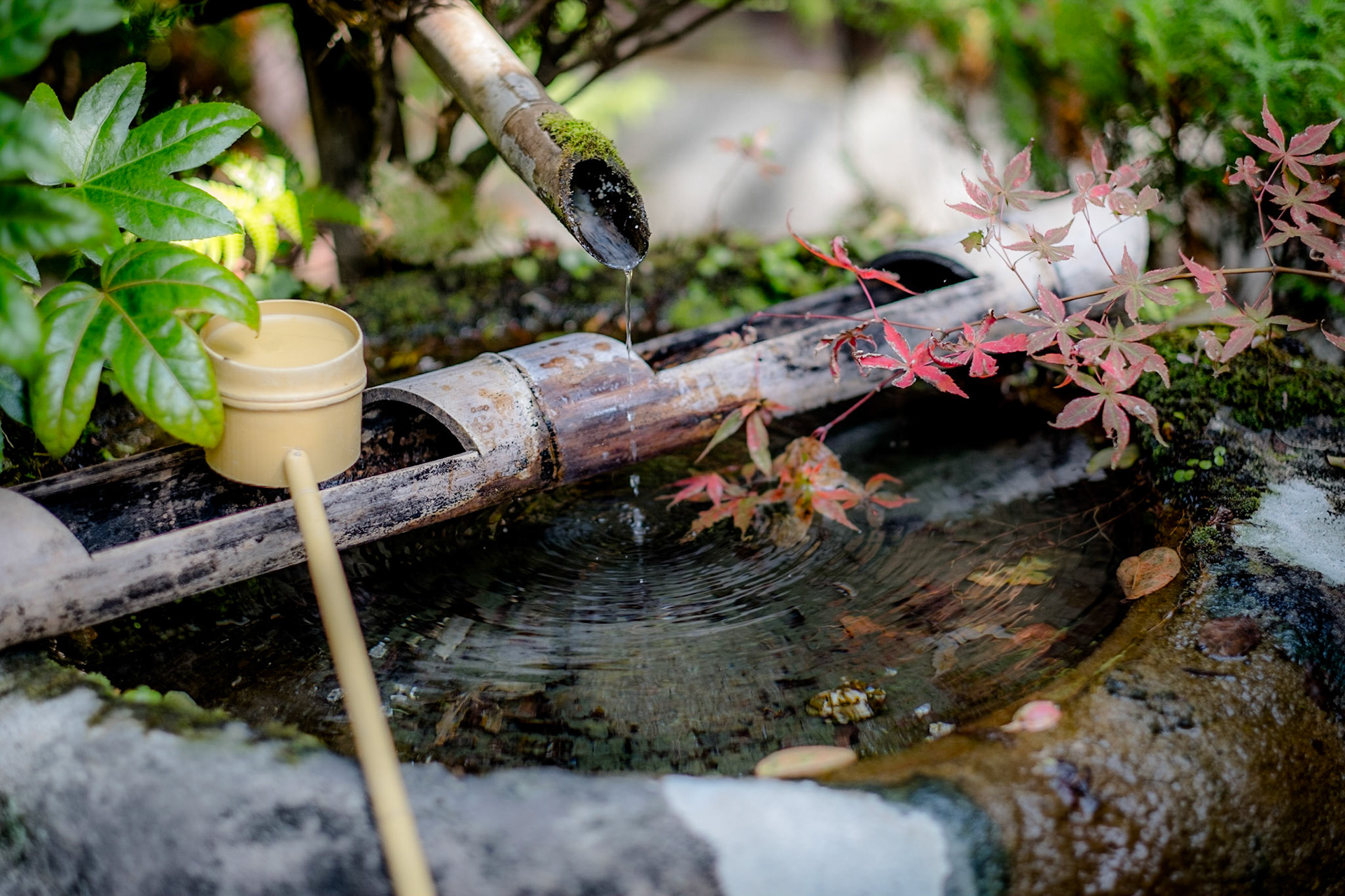Fountain at Ishiyamadera