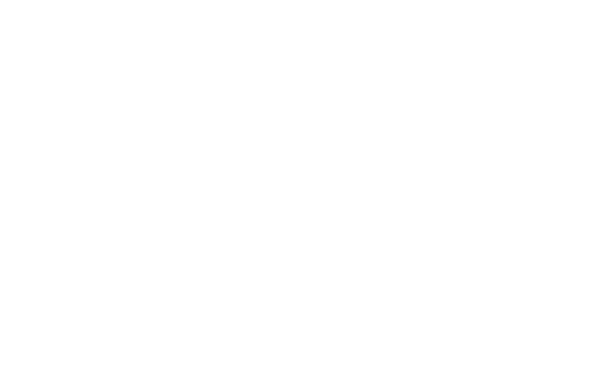 Percy Oestreich