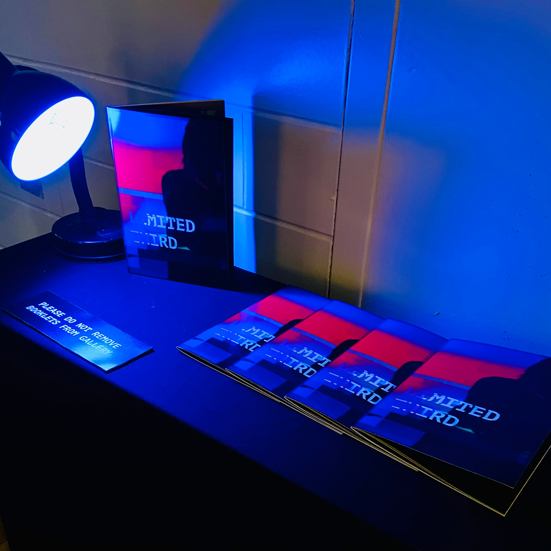 Table with Limited Third Booklets set up in BFA Gallery Showing.