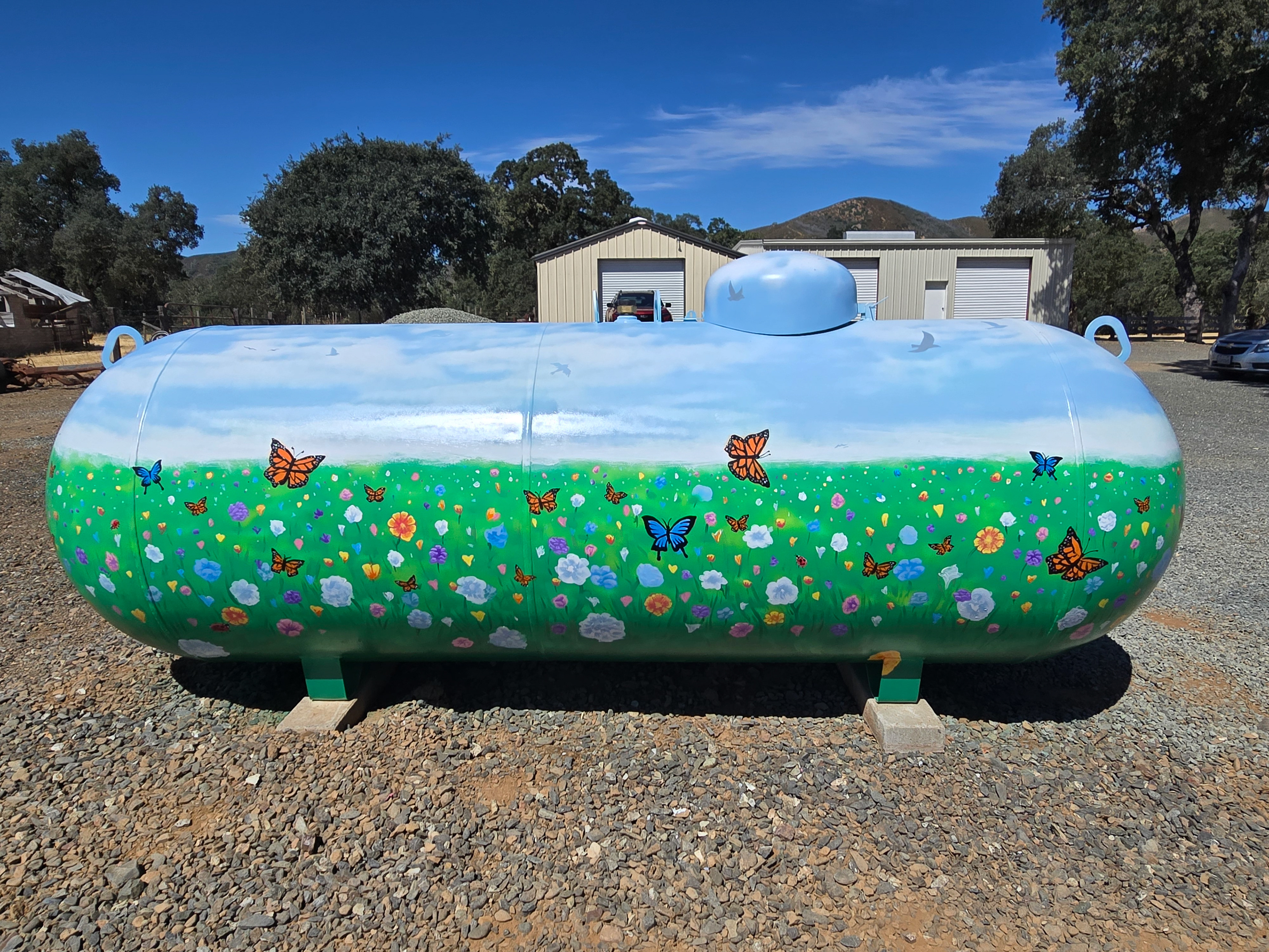 propane tank 2024