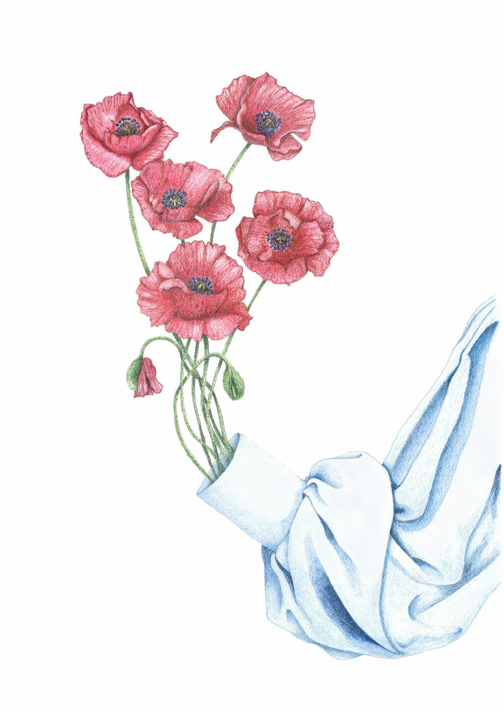 A bunch of poppies growing out of the sleeve of a blue blouse.